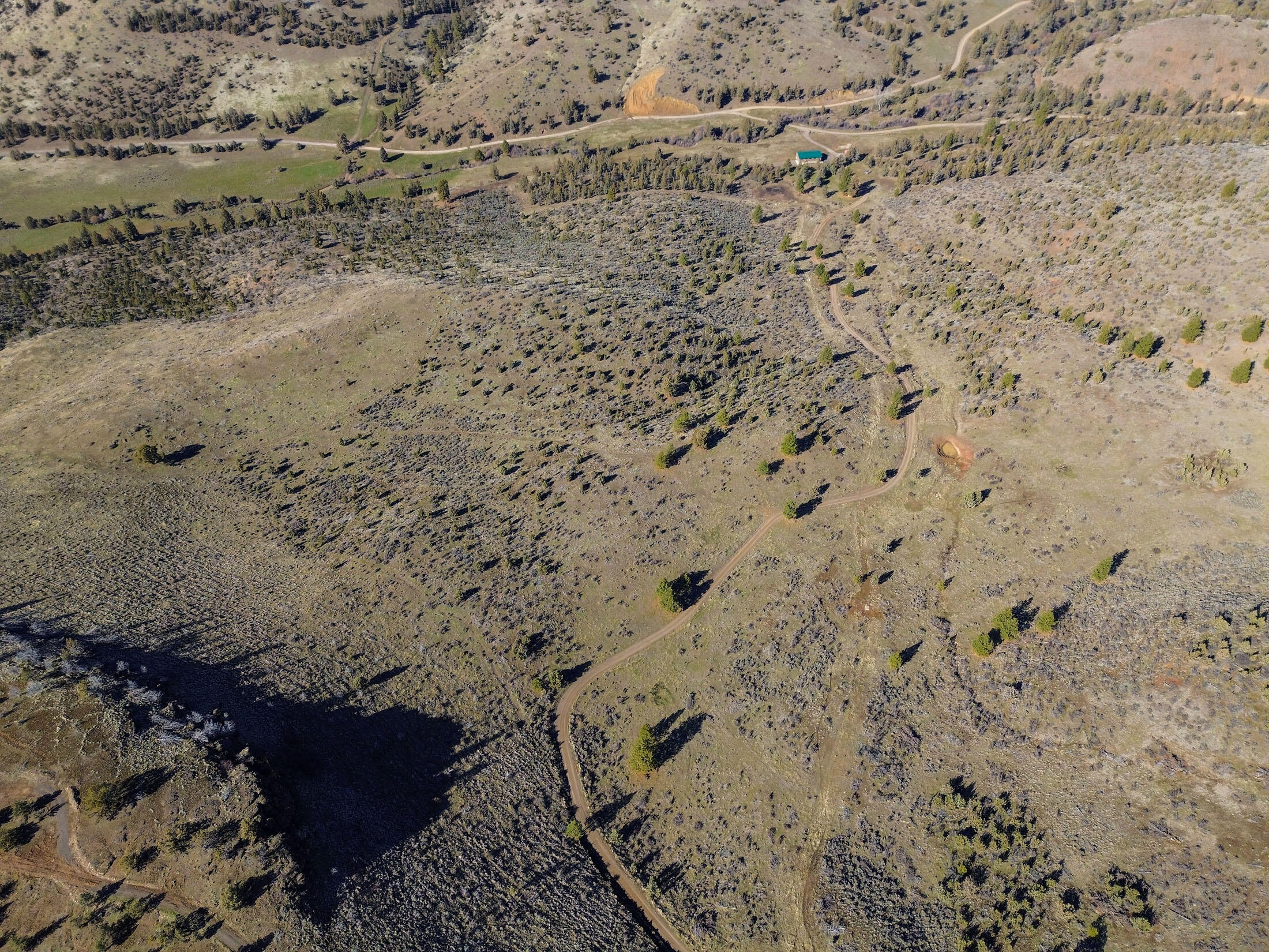 5896 Johnson Creek Road, Prineville, Oregon, 97754, United States, ,Land,For Sale,5896 Johnson Creek Road,1609135
