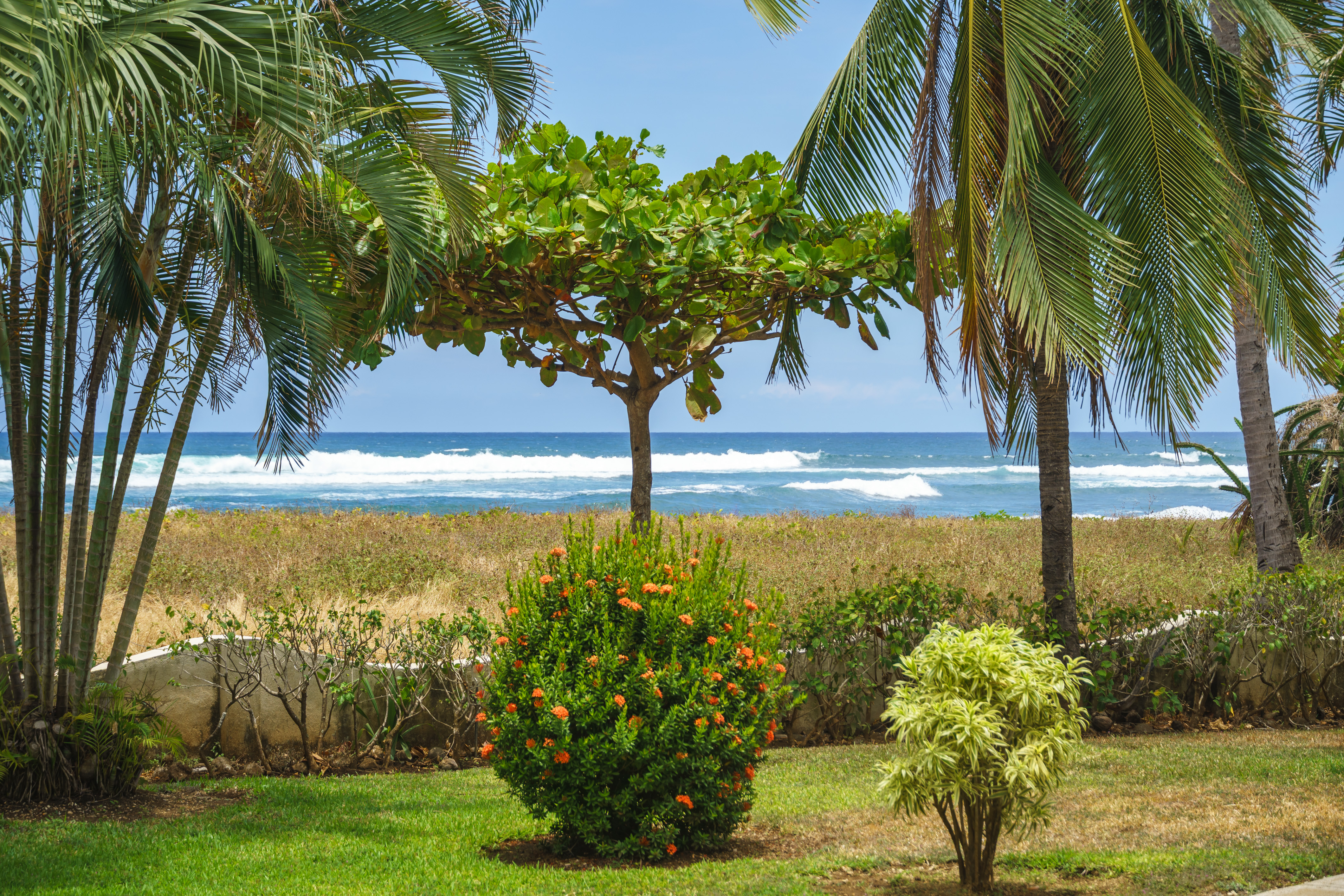 Junquillal, Guanacaste, CR, 2 Bedrooms Bedrooms, ,2 BathroomsBathrooms,Residential,For Sale,1792792