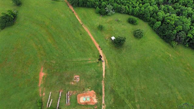Henderson, Texas, 75654, United States, ,Land,For Sale,1865507