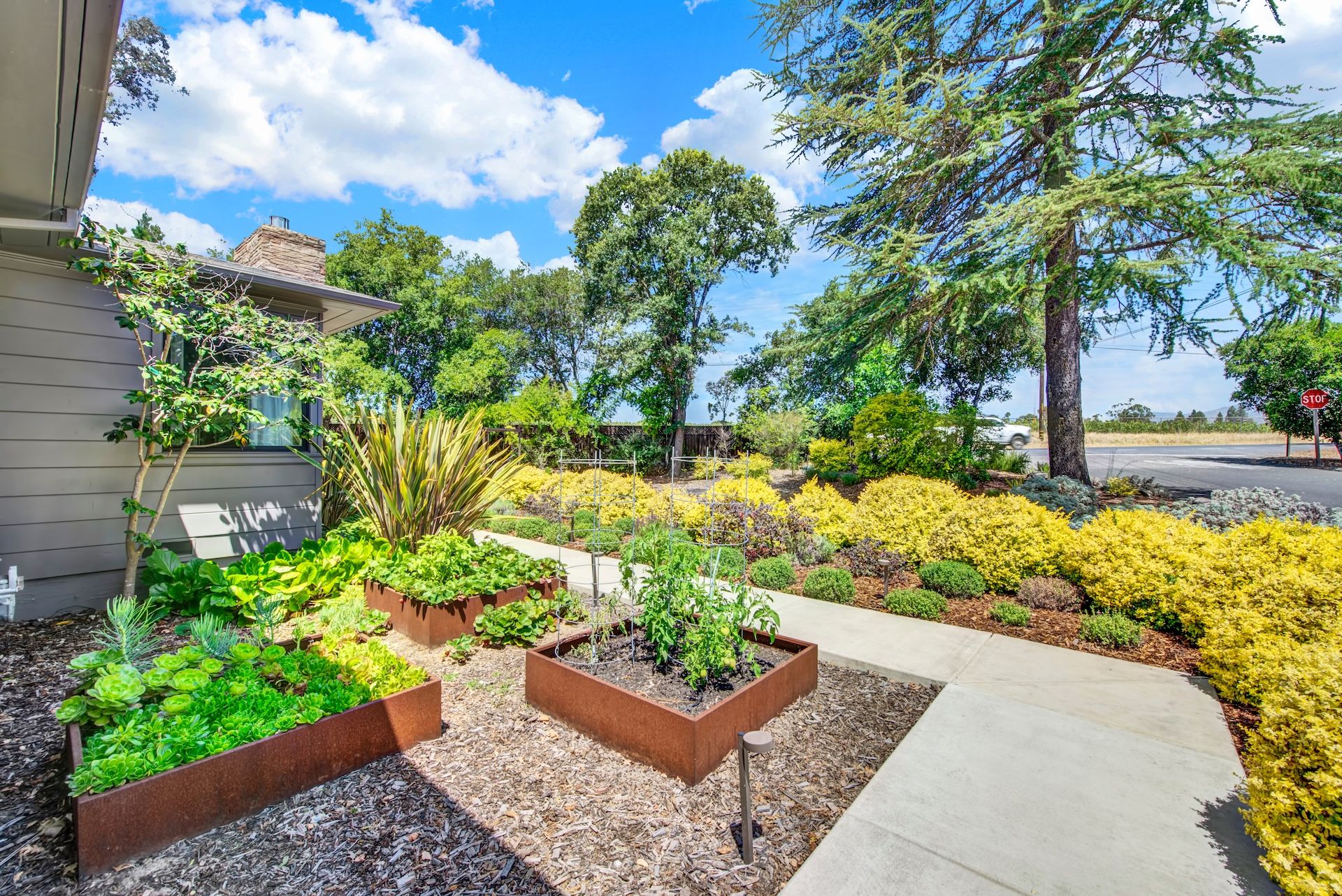  Style and Comfort in Napa - 物件實景