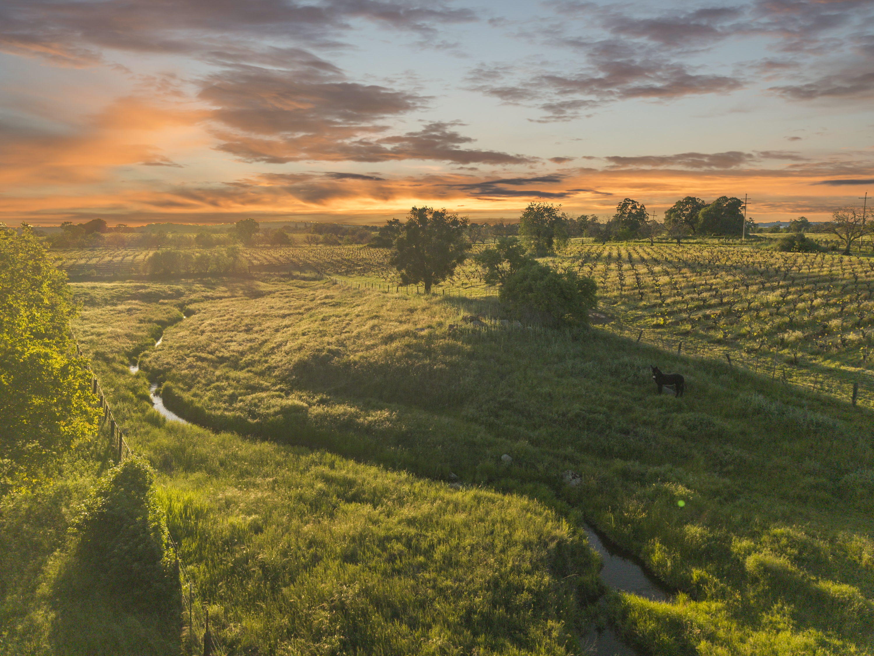  107 Acres - Seasonal Creek - Legacy - 物件實景