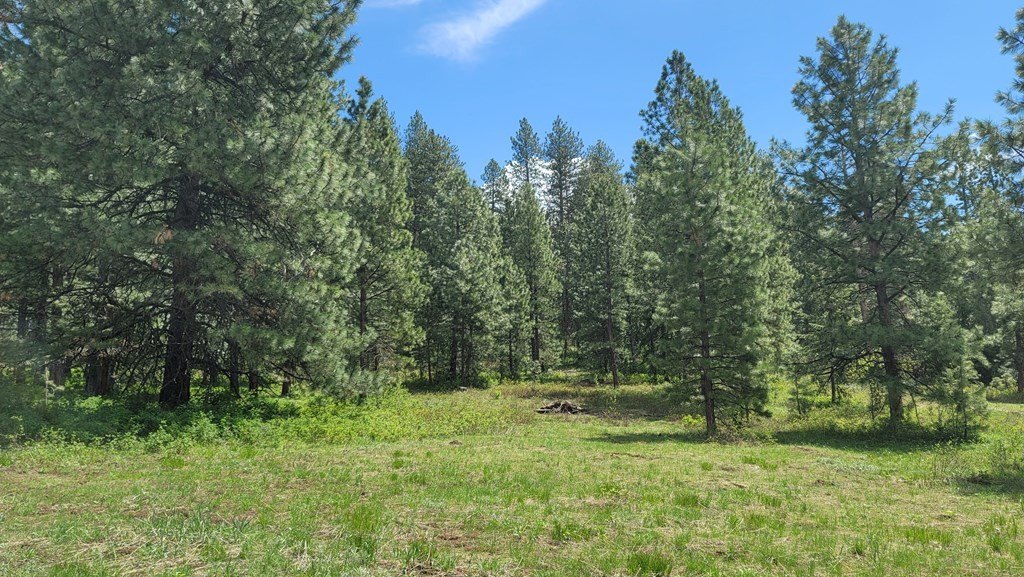 Council, Idaho, 83612, United States, 3 Bedrooms Bedrooms, ,2 BathroomsBathrooms,Residential,For Sale,1980798