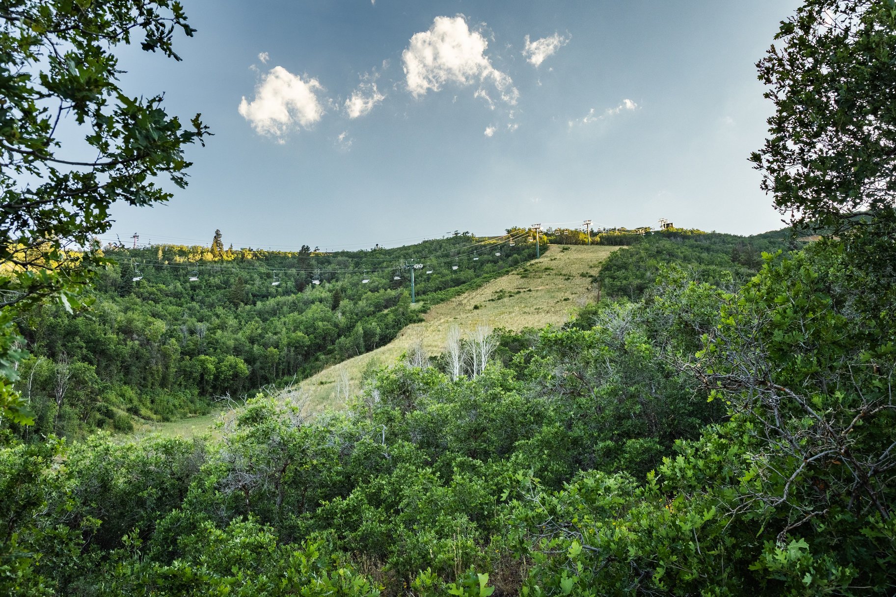  Estate Lot with Prime Ski-in, Ski-out Access - 物件實景