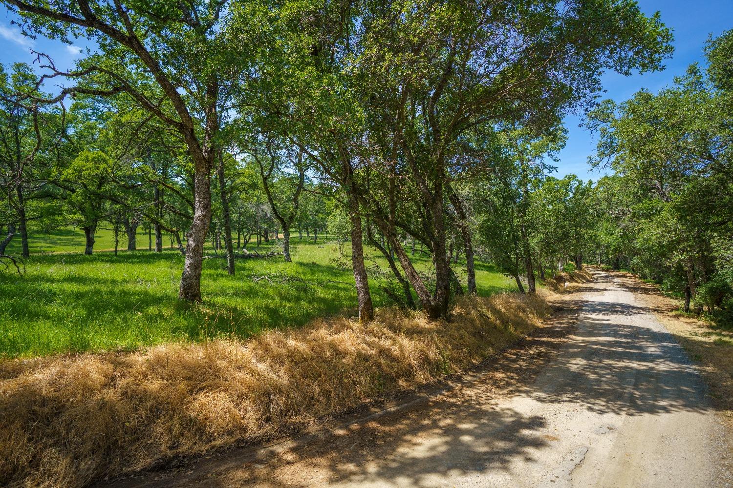 Lincoln, California, 95648, United States, ,Land,For Sale,1784125