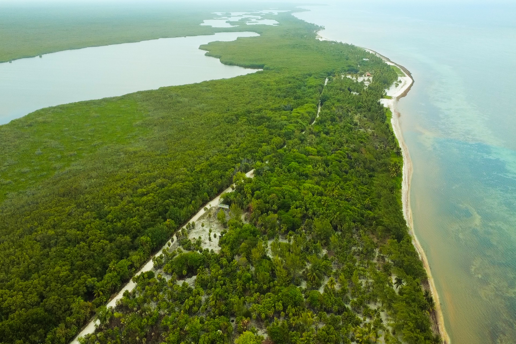  Viridiana Reserve: Beachfront Macro-lot in a Prime Location - 物件實景
