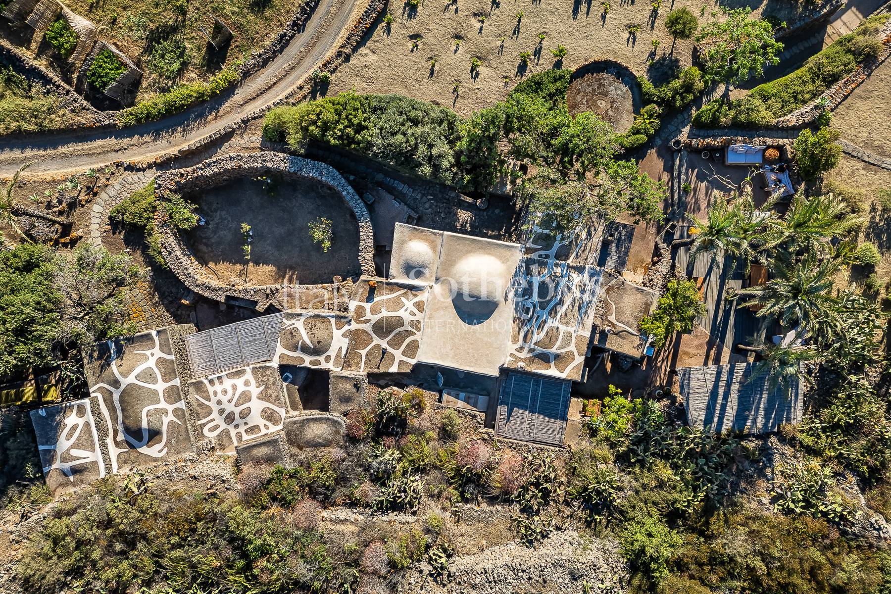  Estate with Wonderful Dammusi - 物件實景