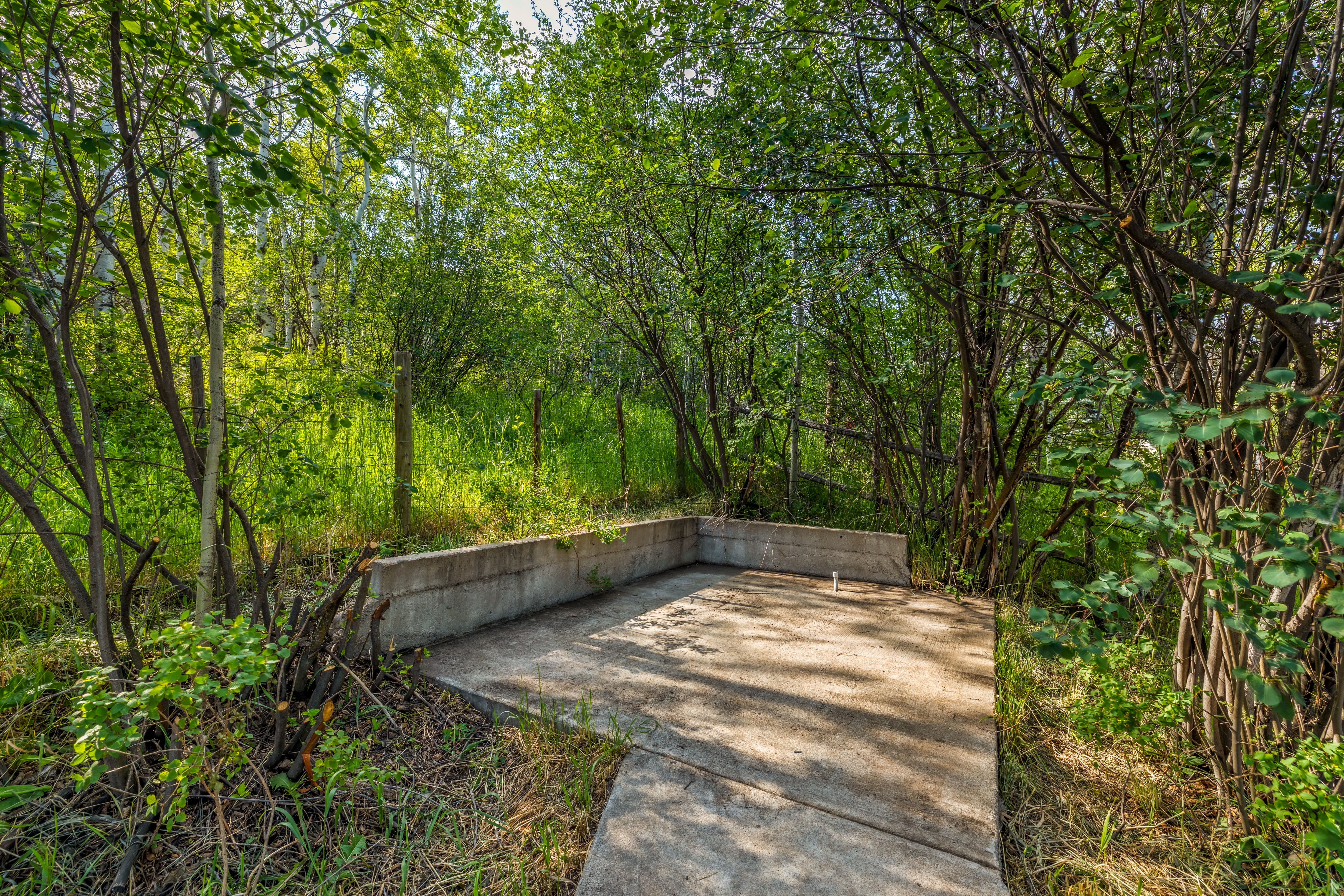  1141 Thornburg Street, Steamboat Springs, CO, 80487 - 物件實景