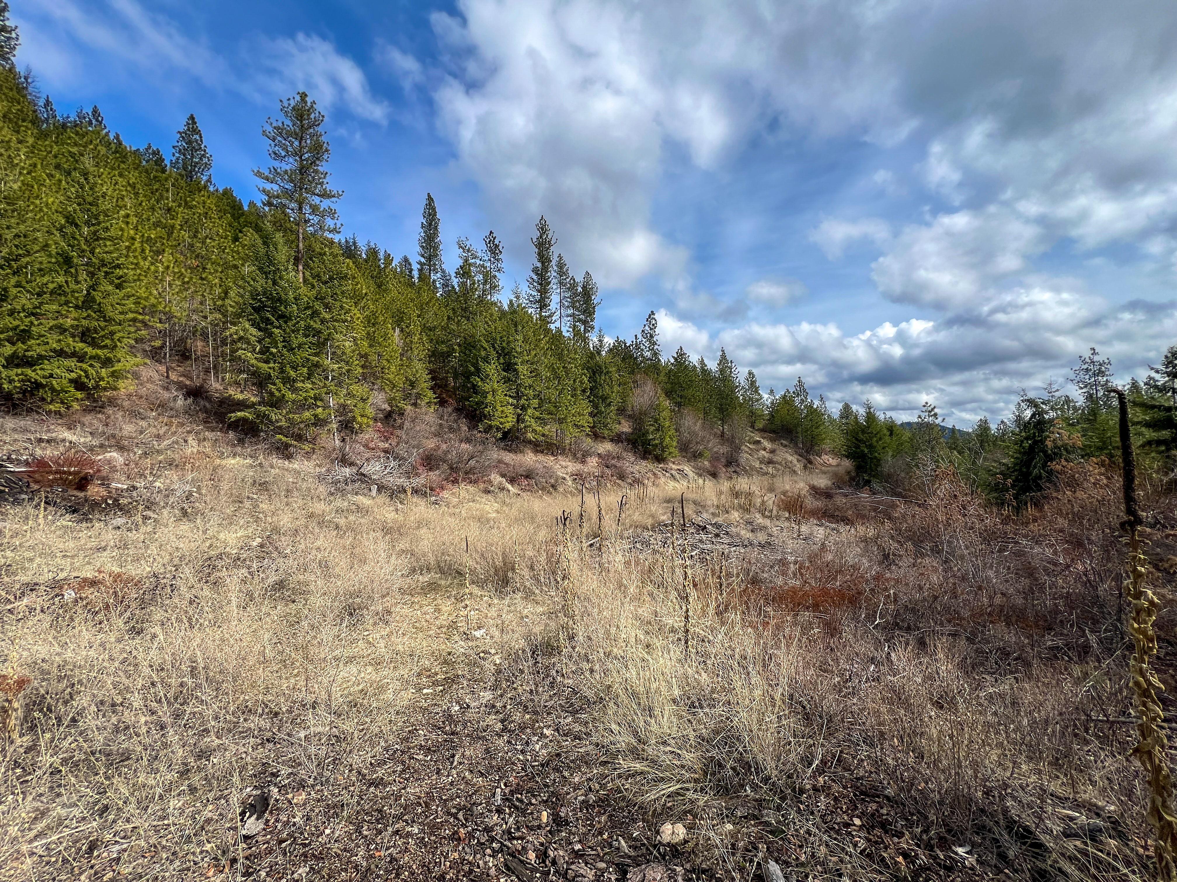 Valley, Washington, 99181, United States, ,Land,For Sale,1979391