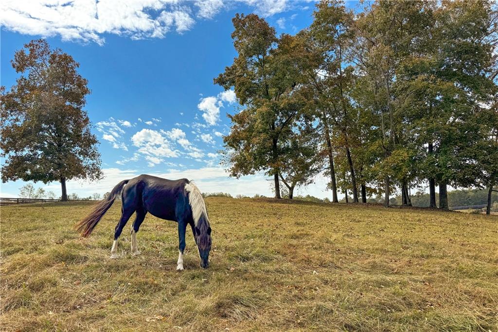 Dawsonville, Georgia, 30534, United States, 2 Bedrooms Bedrooms, ,2 BathroomsBathrooms,Residential,For Sale,1991026