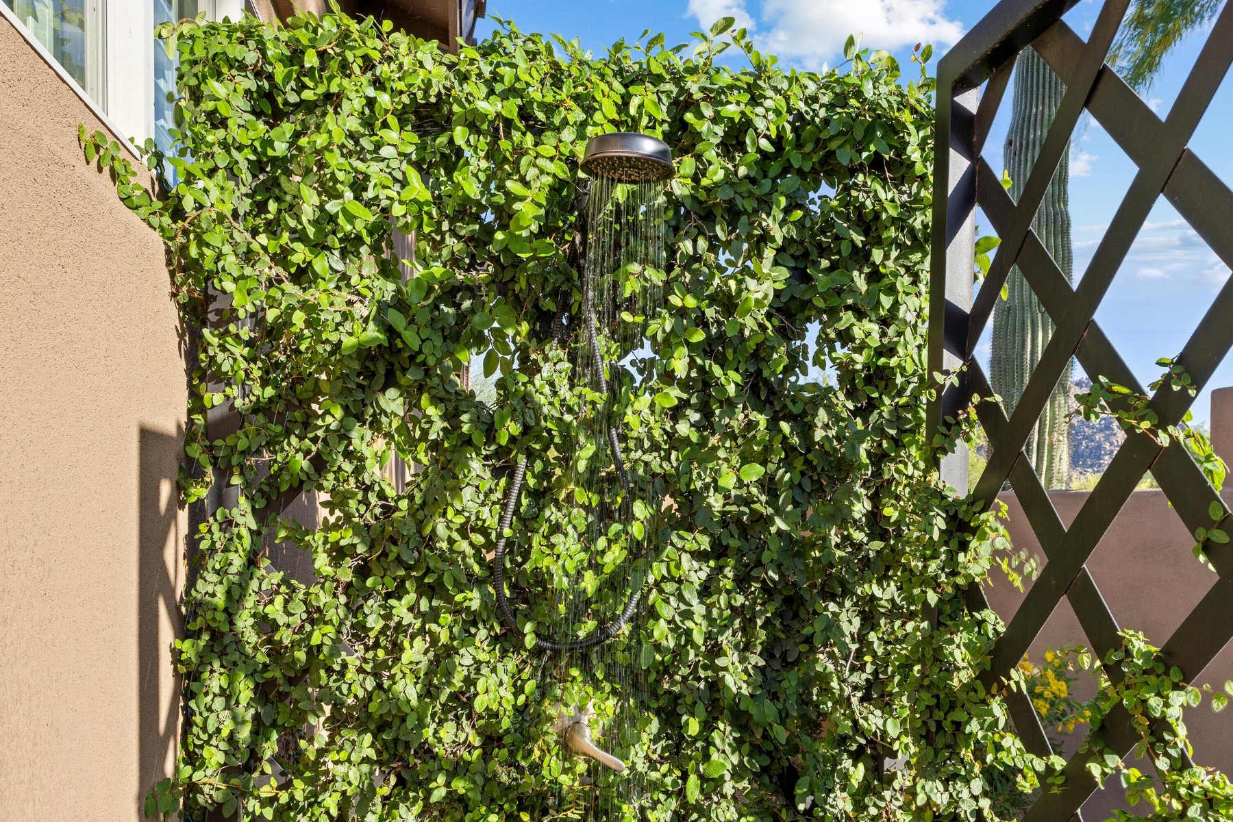  27600 N 110th Place  Scottsdale, AZ - 物件實景