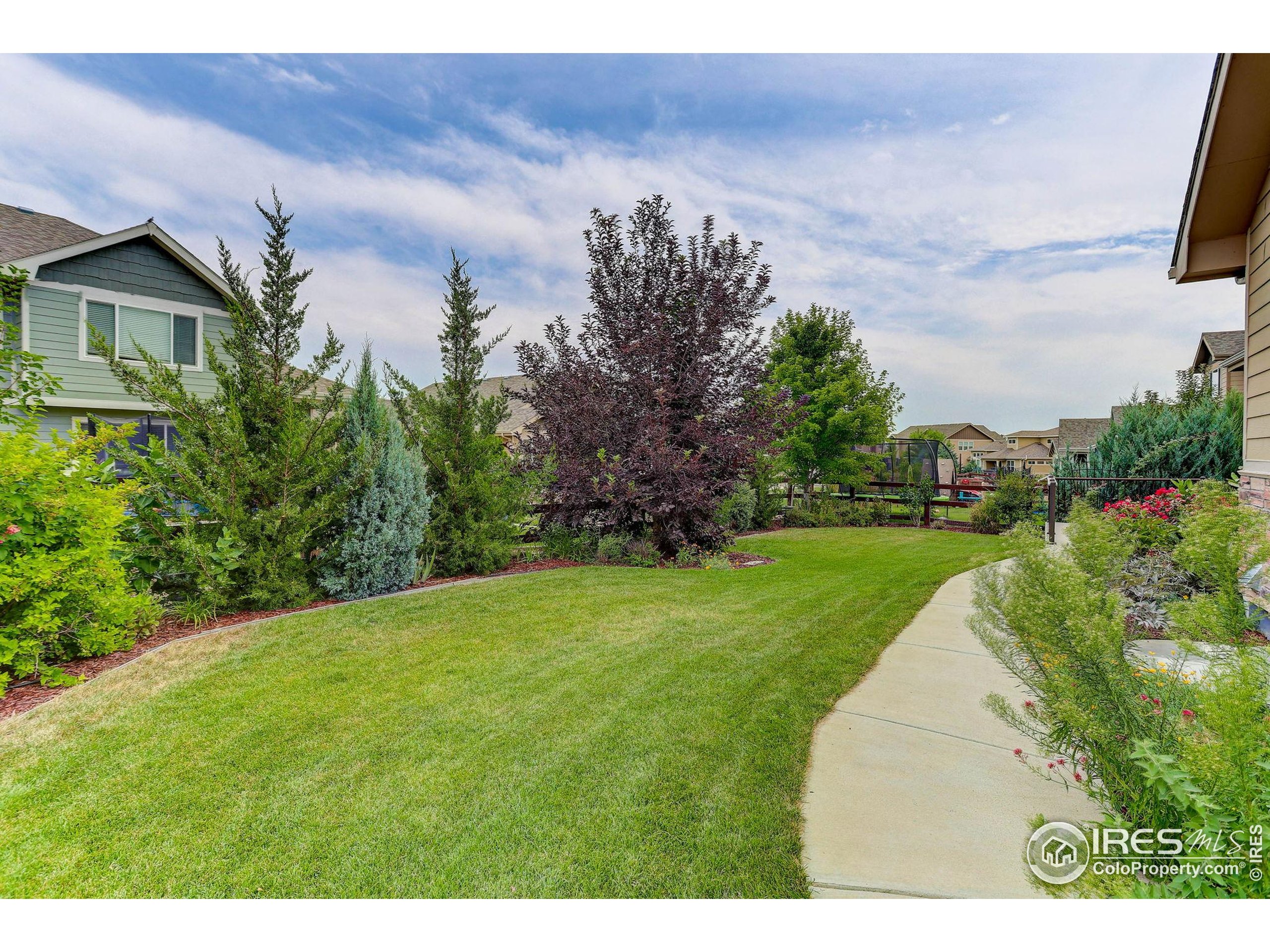 Windsor, Colorado, 80550, United States, 3 Bedrooms Bedrooms, ,2 BathroomsBathrooms,Residential,For Sale,1910992