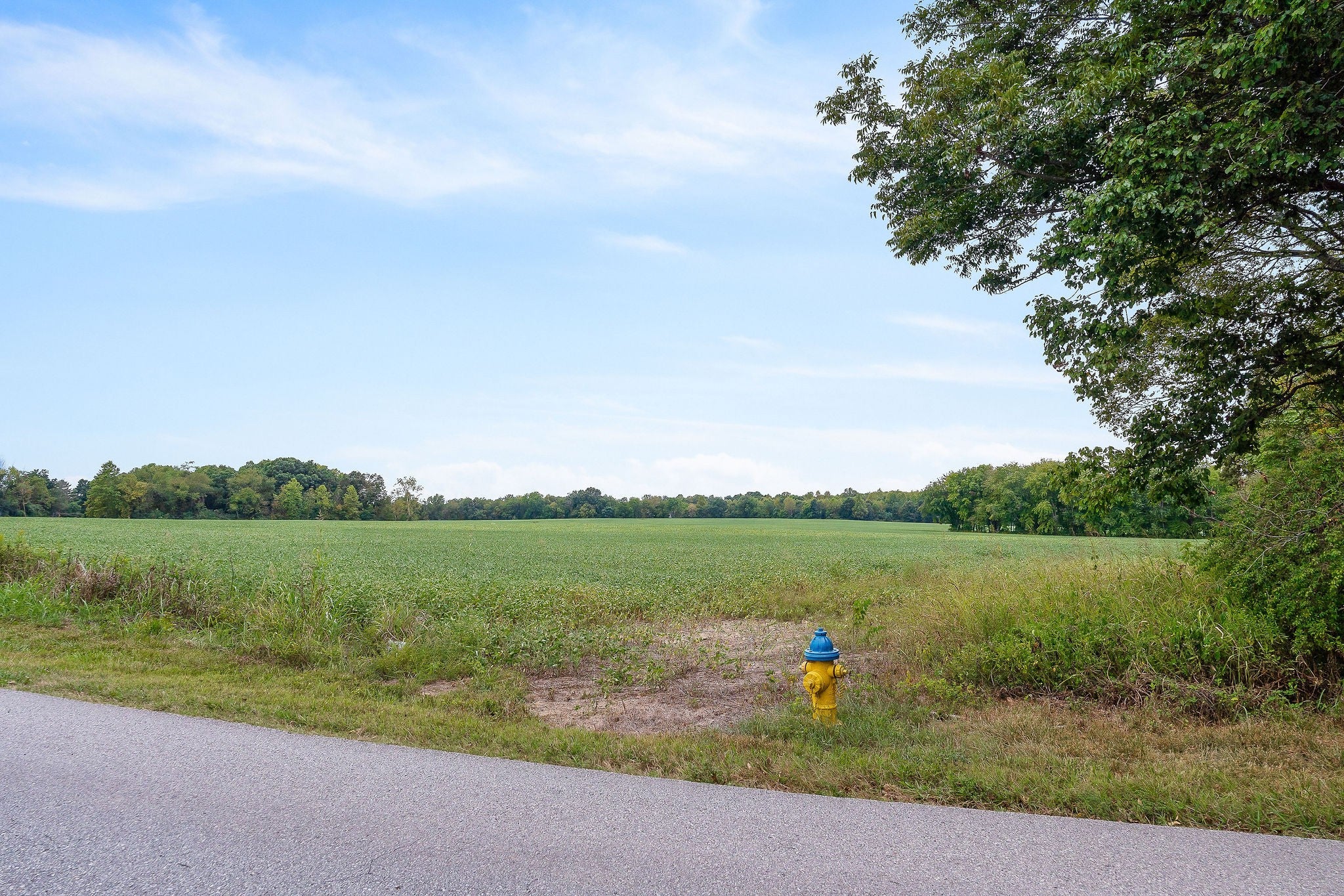 Smithville, Tennessee, 37166, United States, ,Residential,For Sale,2006609