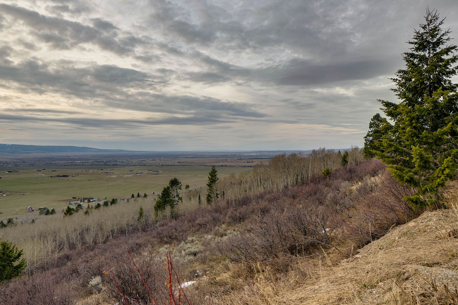  Elevated Lot in Shooting Star Ranch - 物件實景