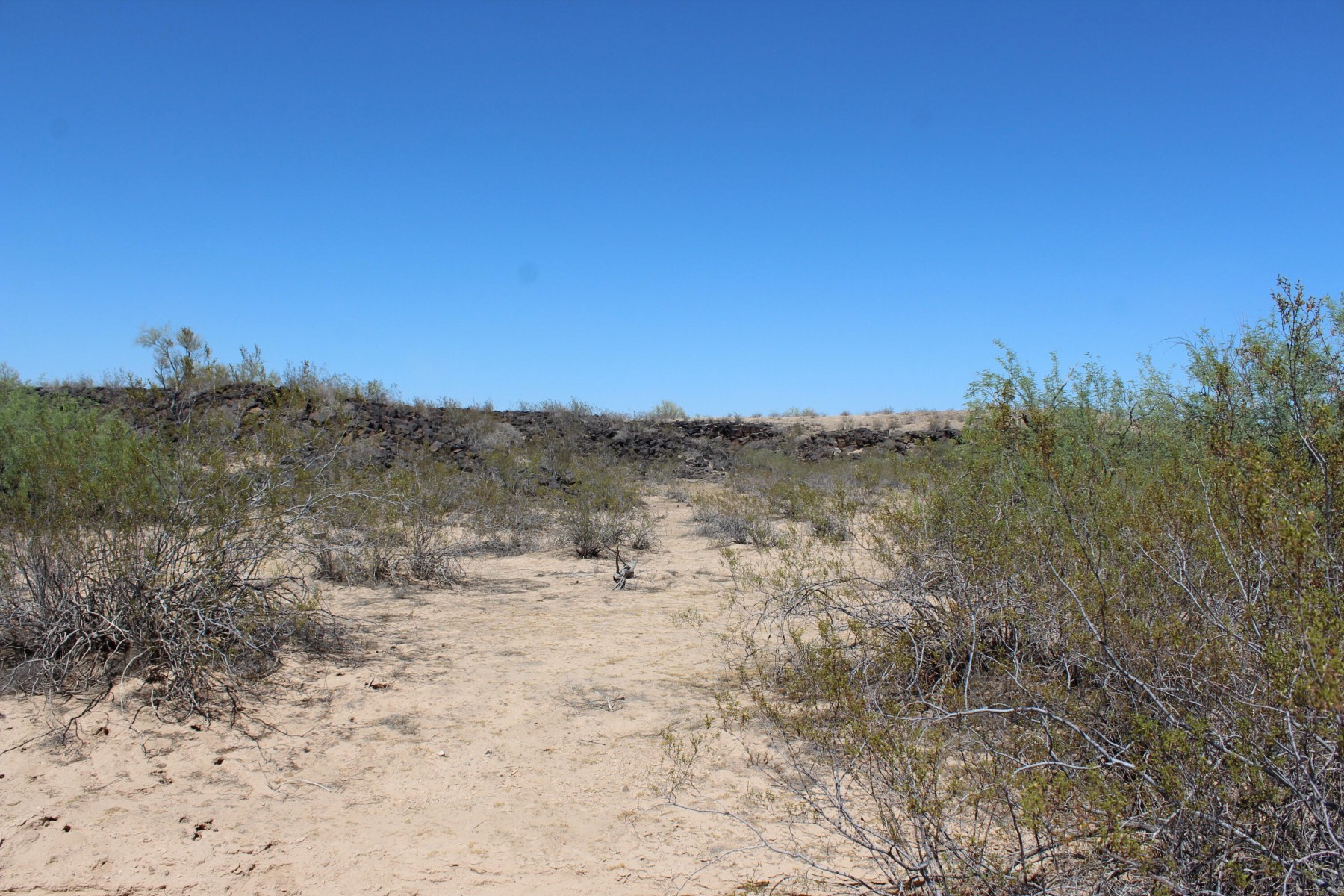  11 S 337th Avenue, Arlington, AZ, 85322 - 物件實景