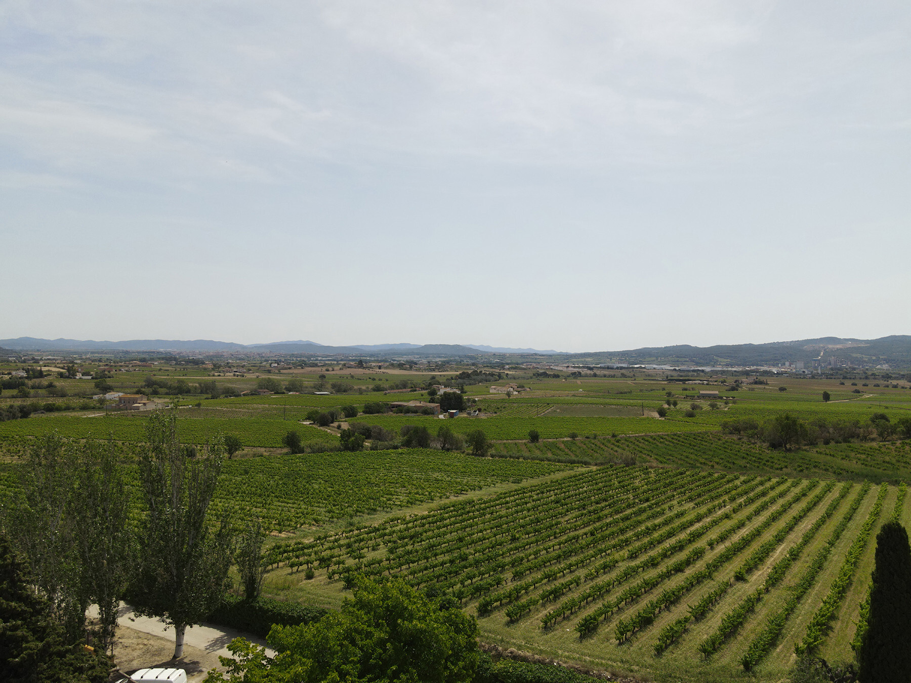  Equestrian finca in Castellví de la Marca, 5 Minutes from Vilafranca - 物件實景