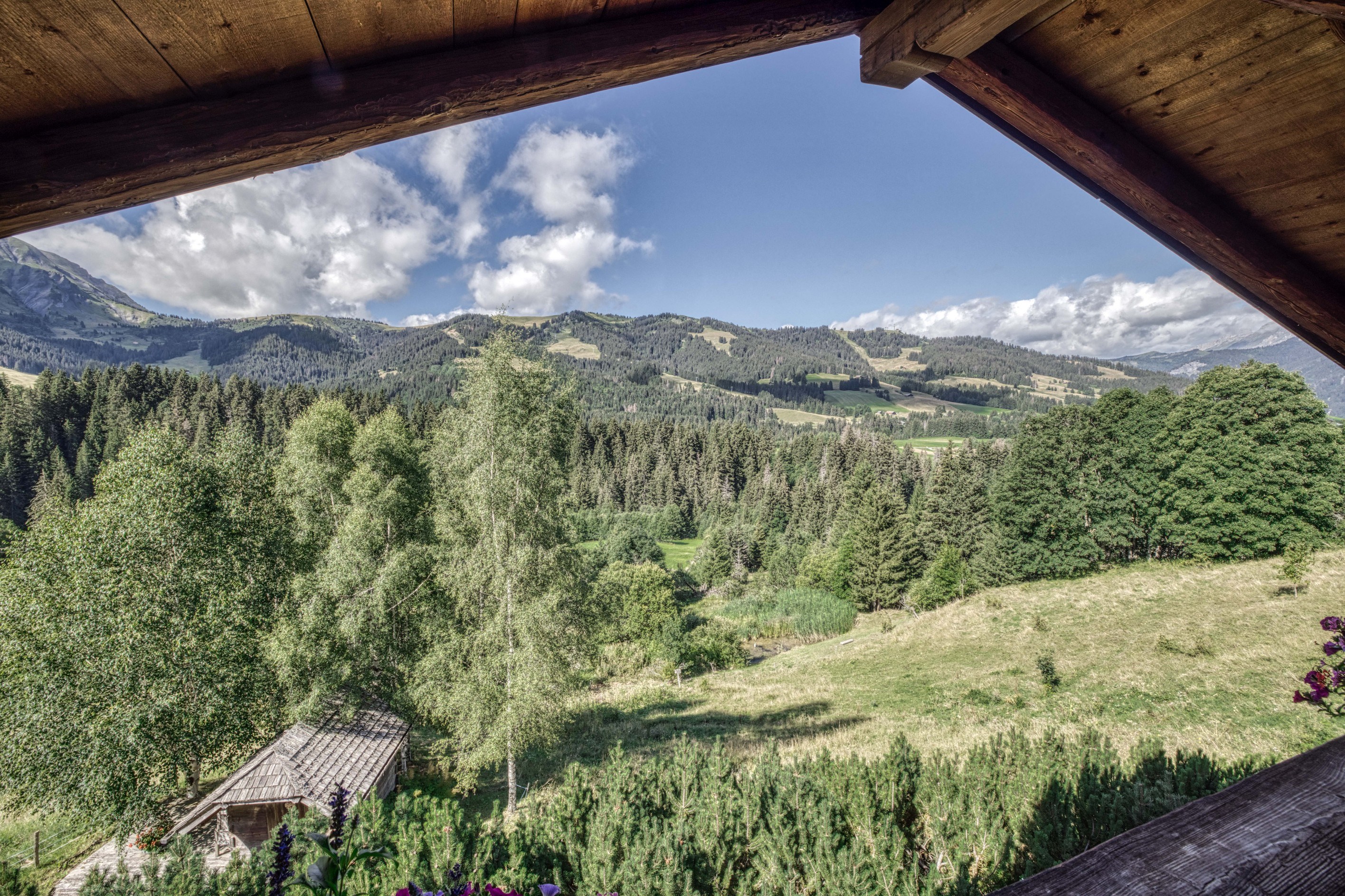  Domaine Épervier - Two connected chalets on a 20,000 m² plot - 物件實景