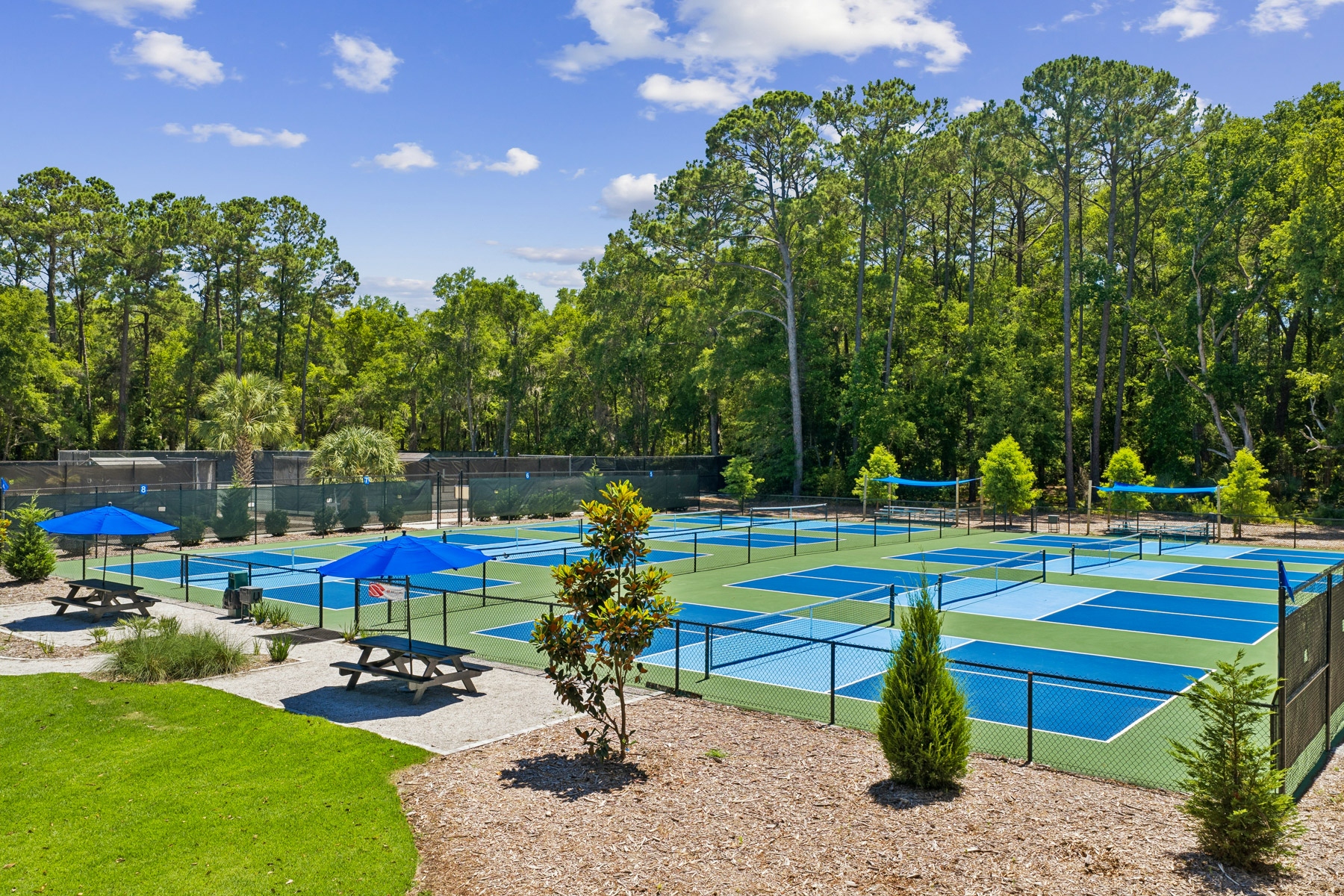  17 Balsams Court, Hilton Head Island - 物件實景