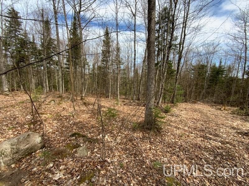 TBD W US 41, Marquette, Michigan, 49855, United States, ,Residential,For Sale,TBD W US 41,1601608
