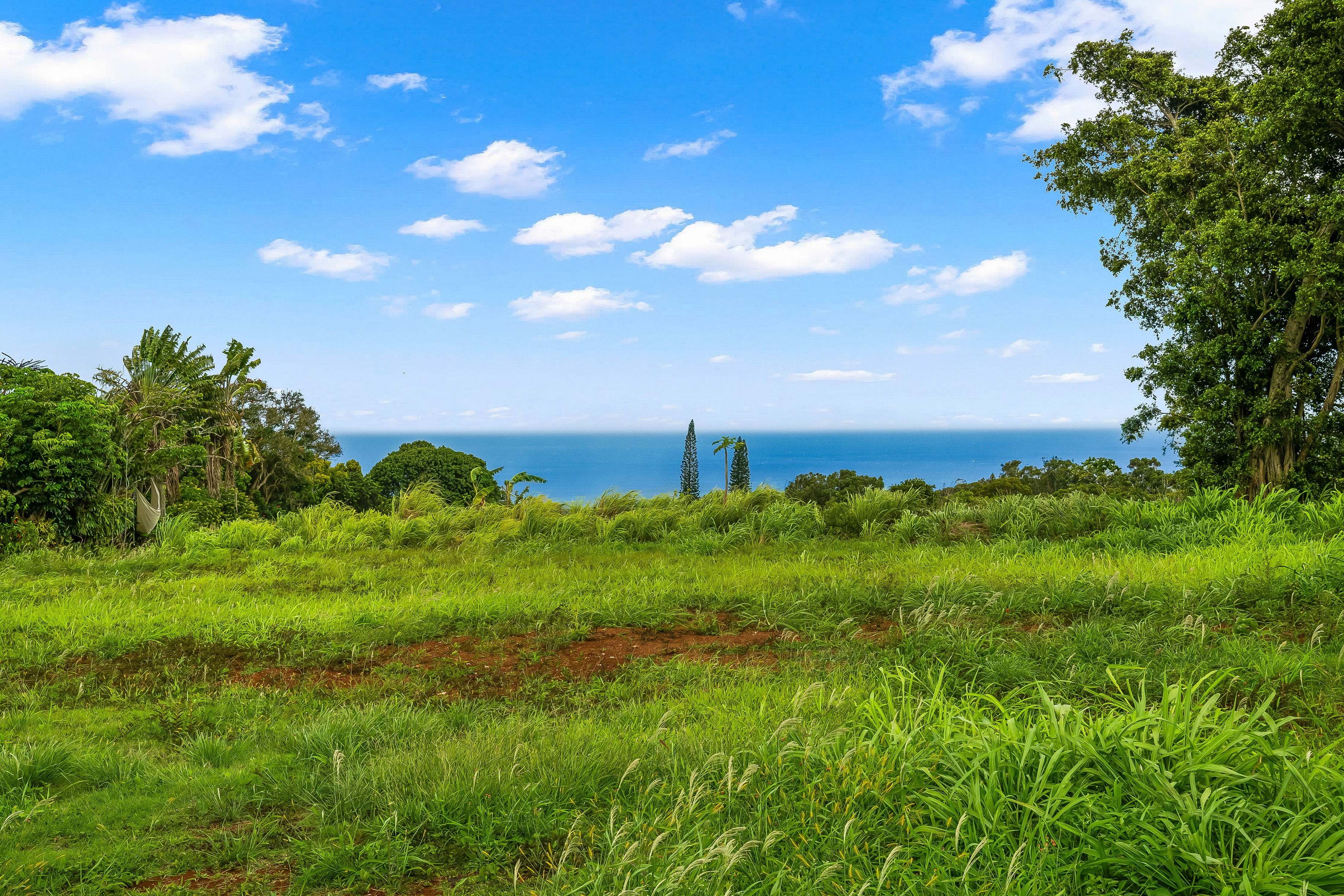  3961 Papalina Rd, Kalaheo, HI, 96741 - 物件實景