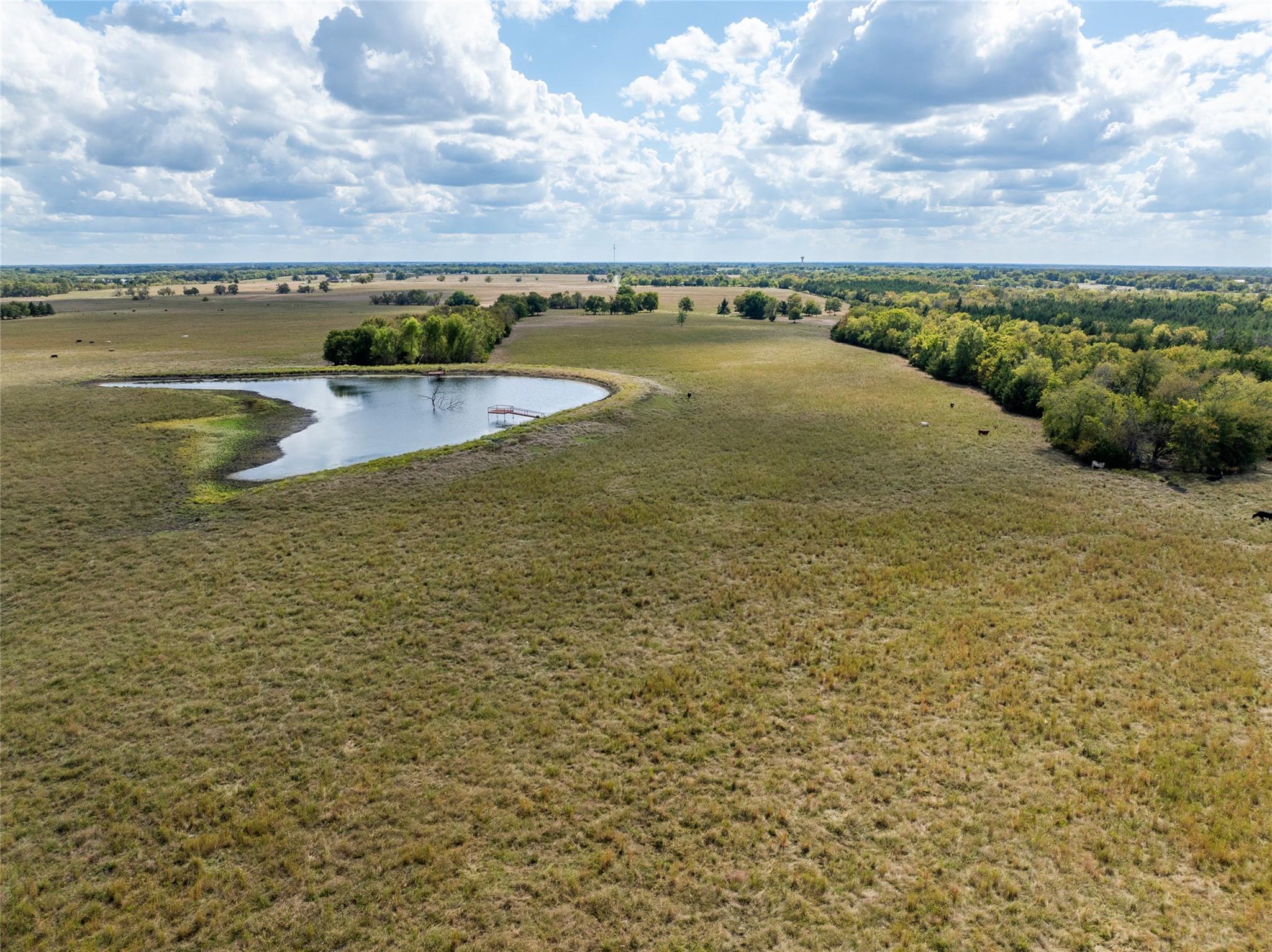 Blossom, Texas, 75416, United States, ,Residential,For Sale,1977937