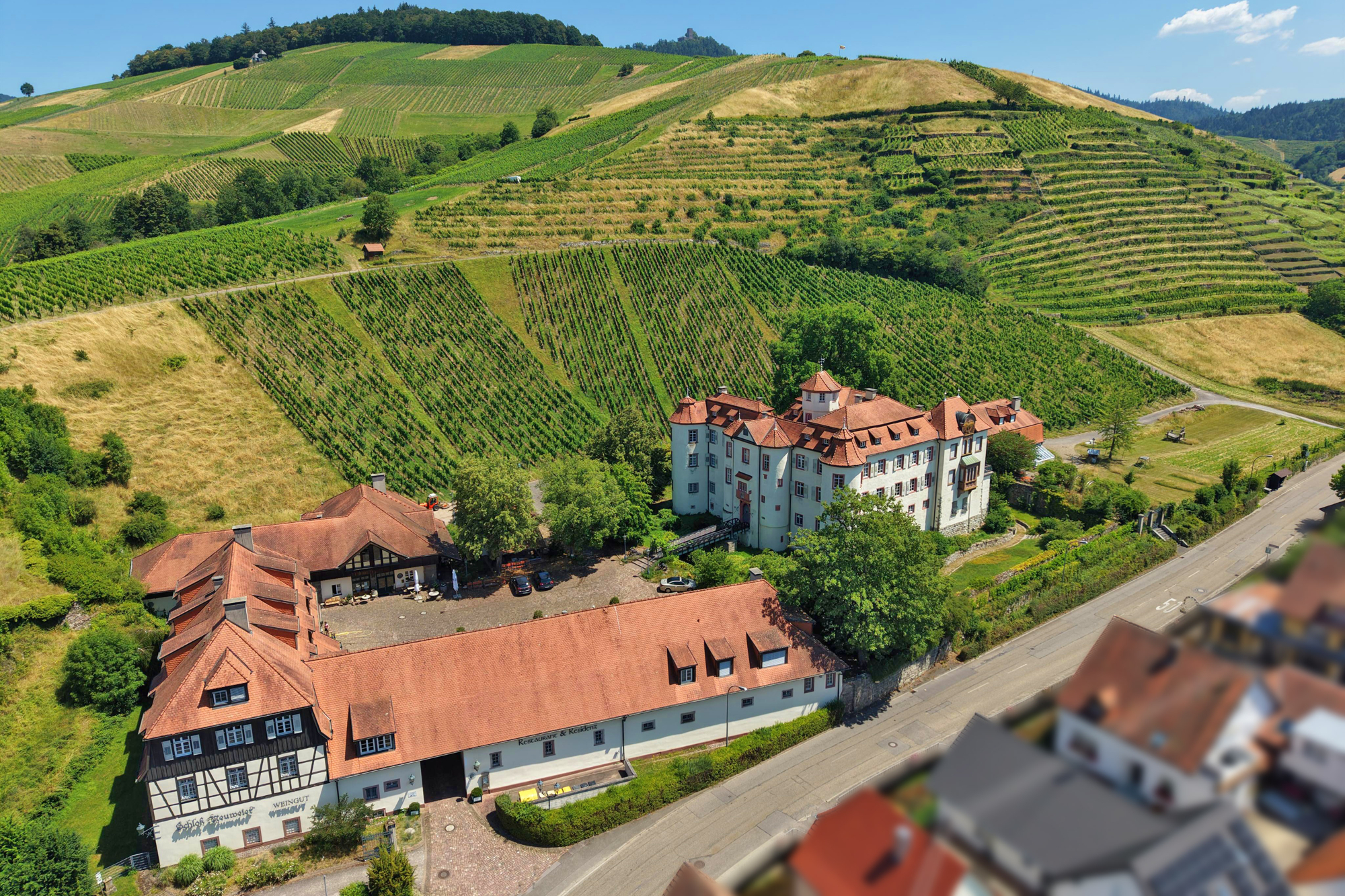  Neuweier Castle - Living and Working on a Historic Winery Estate - 物件實景