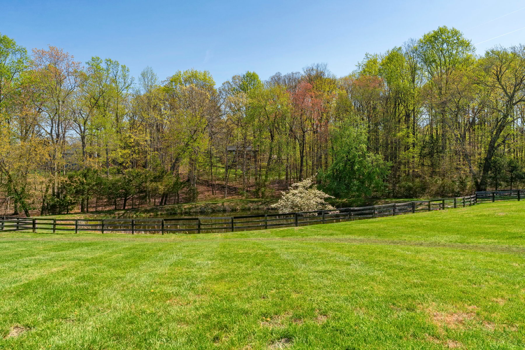 Jonesborough Farm - 物件實景