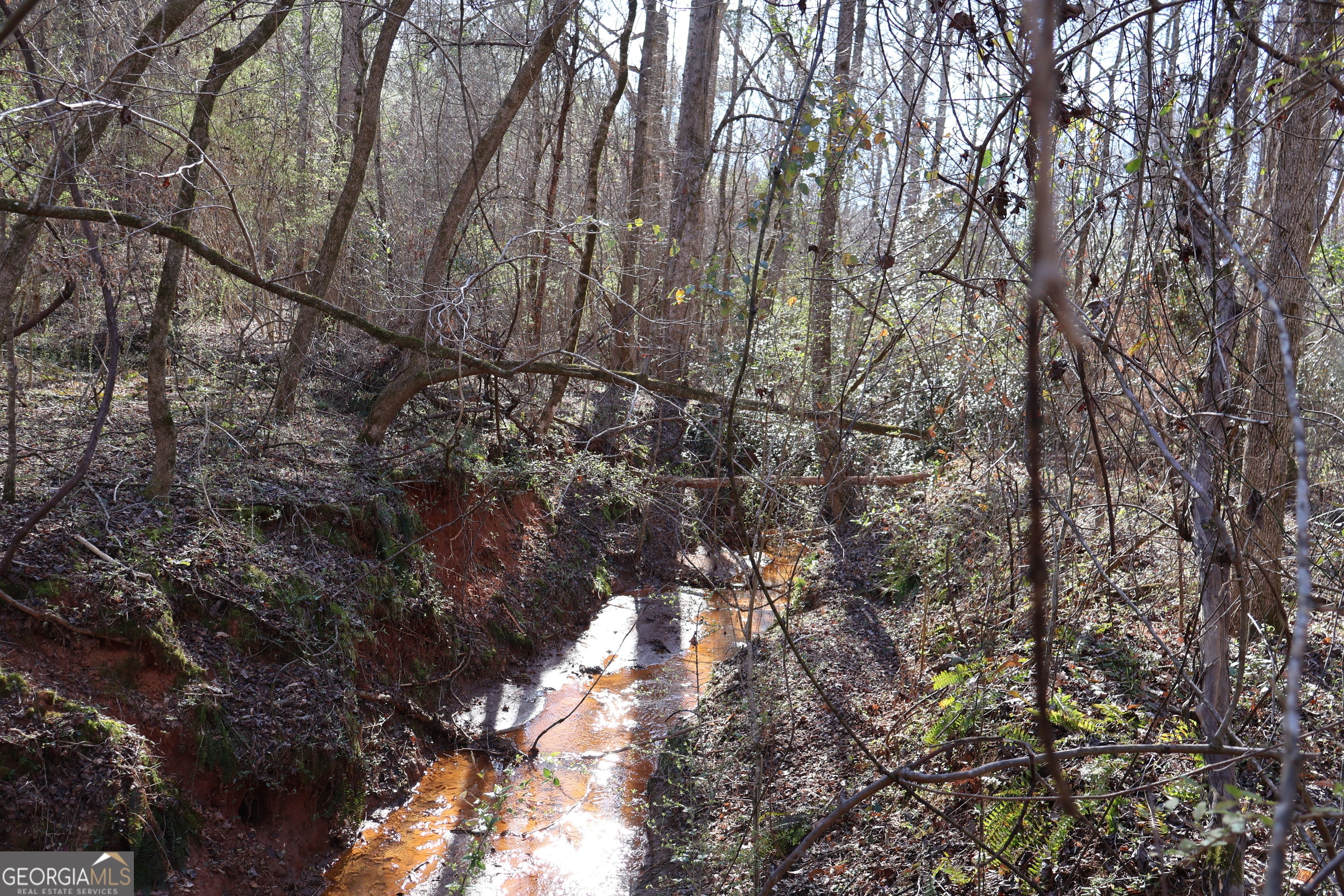 Forsyth, Georgia, 31029, United States, ,Land,For Sale,1858913