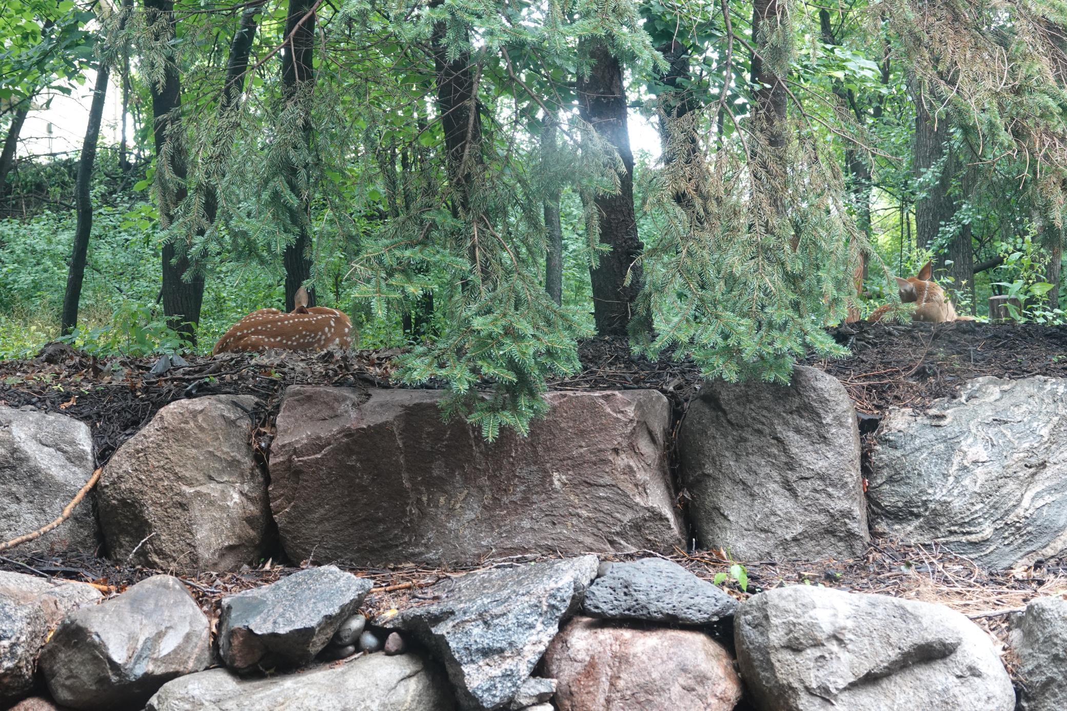 Lakeville, Minnesota, 55044, United States, 4 Bedrooms Bedrooms, ,3 BathroomsBathrooms,Residential,For Sale,1963667