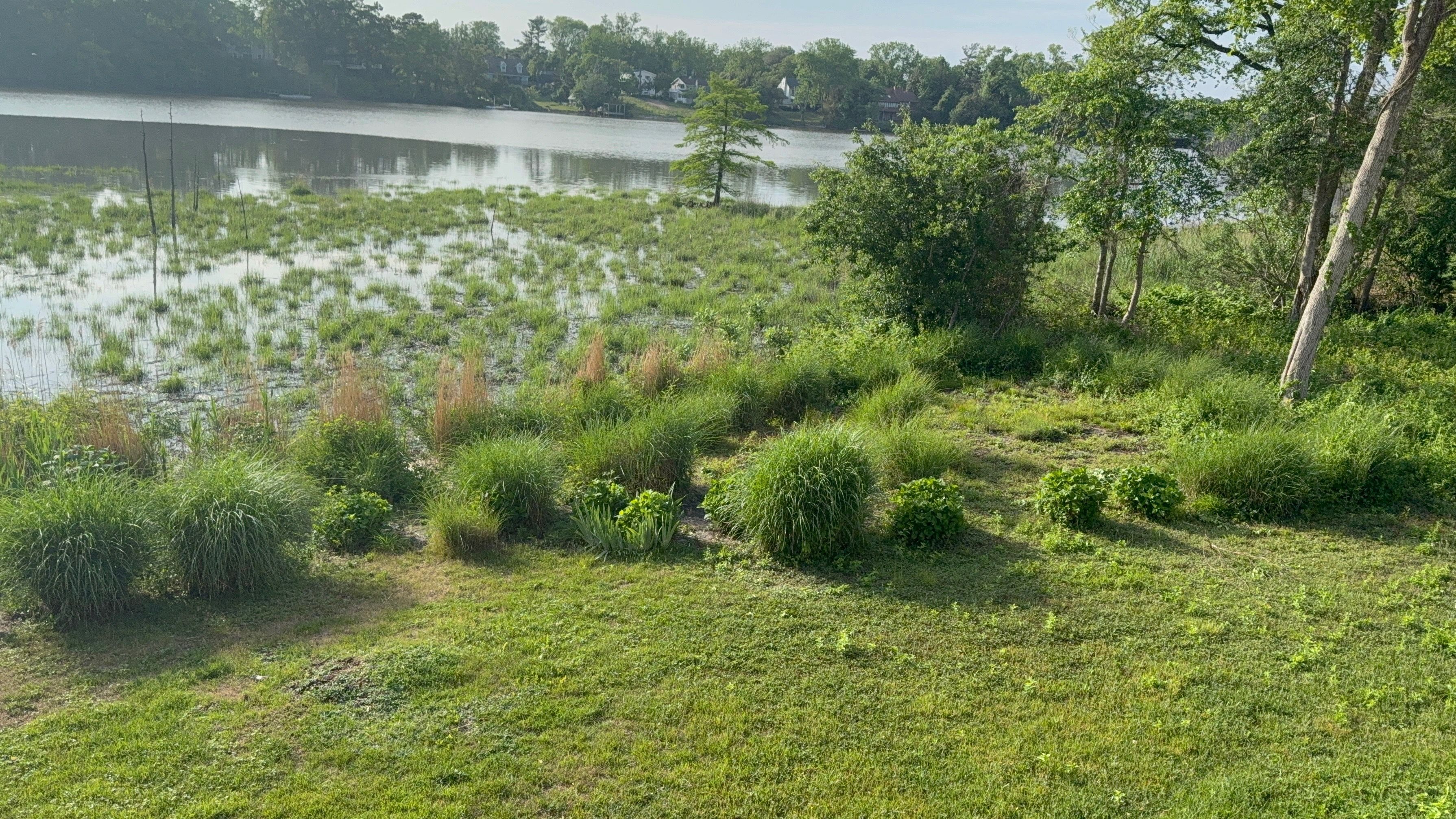  1 Barr, Linwood, NJ, 08221 - 物件實景