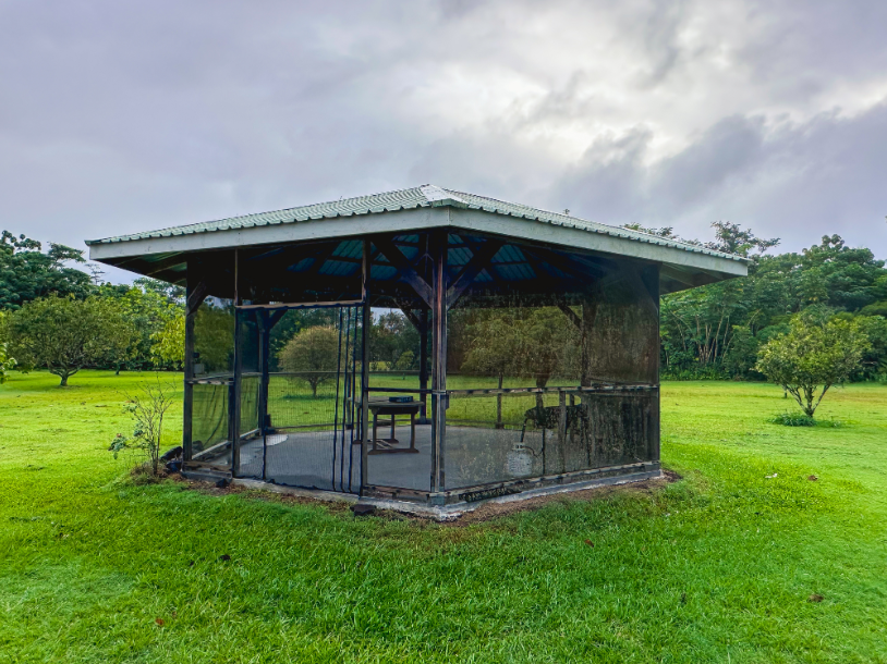 Keaau, Hawaii, 96749, United States, 3 Bedrooms Bedrooms, ,3 BathroomsBathrooms,Residential,For Sale,2007788