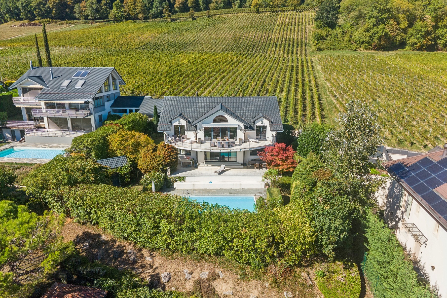  Detached villa nestled among vineyards and a lake - 物件實景