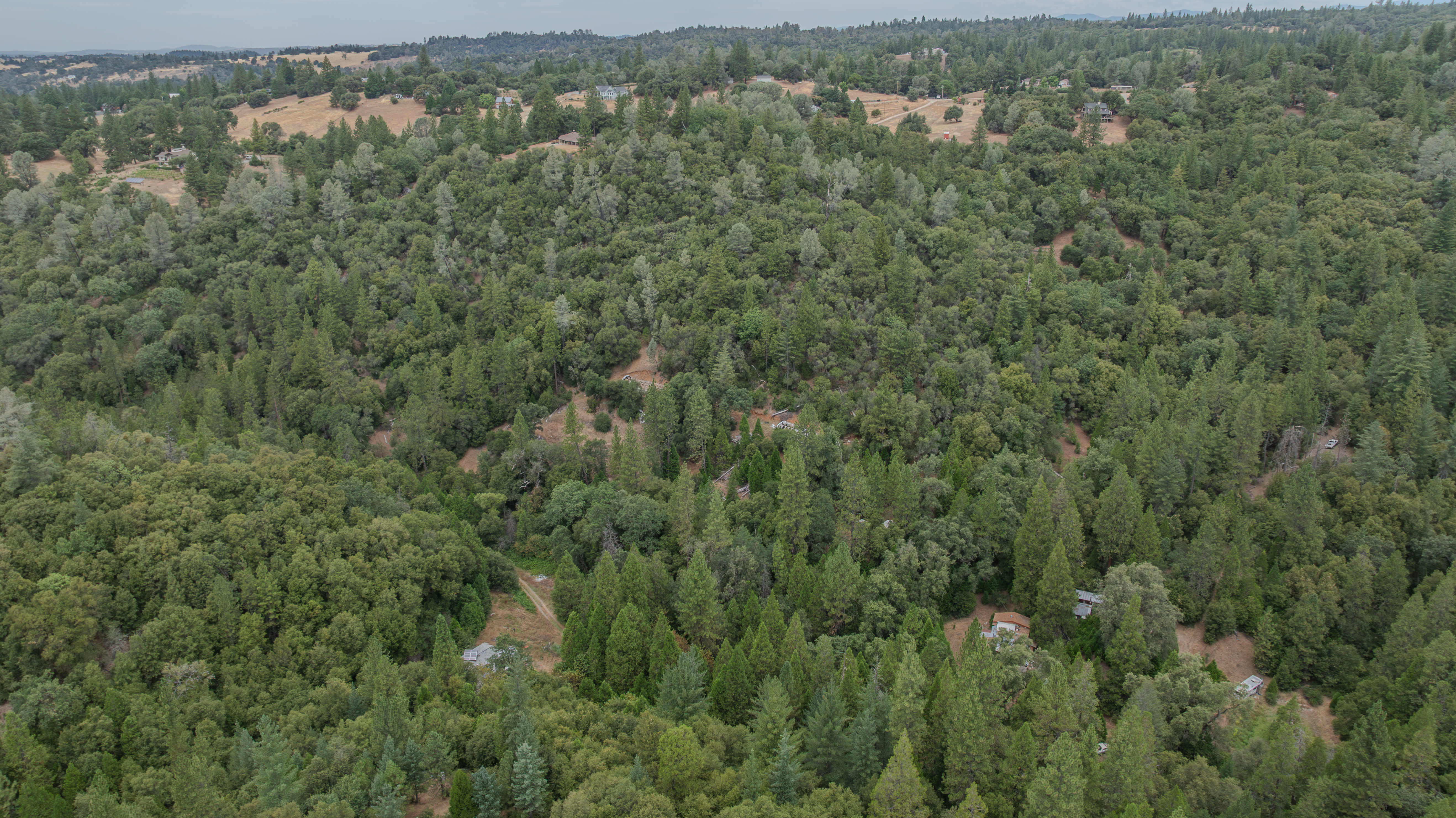  18101 Old River Road, Fiddletown, CA 95629 - 物件實景