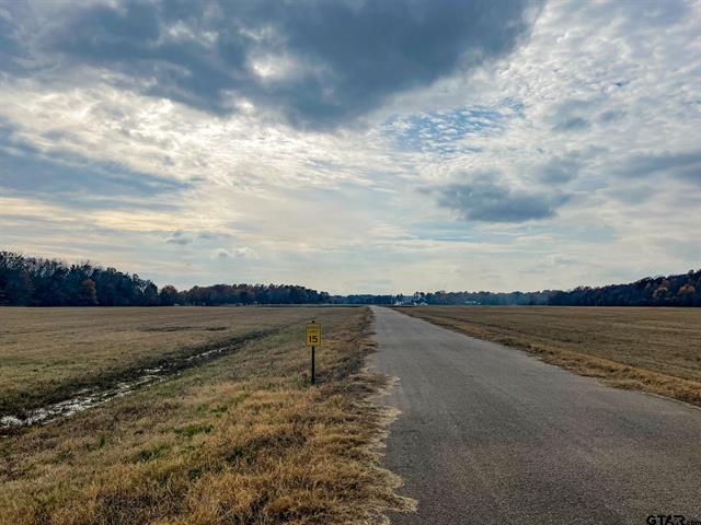 Mt Vernon, Texas, 75457, United States, ,Land,For Sale,1982226