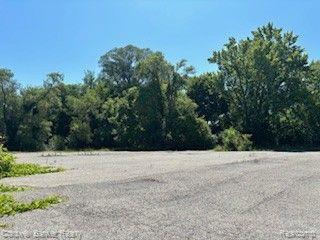 Belleville, Michigan, 48111, United States, ,Land,For Sale,1806116