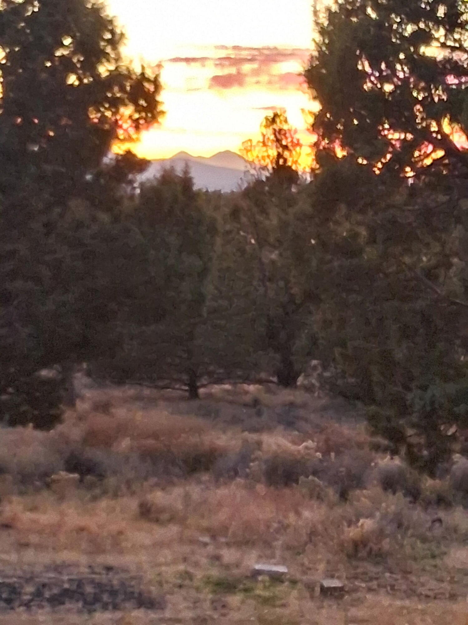 Prineville, Oregon, 97754, United States, 3 Bedrooms Bedrooms, ,2 BathroomsBathrooms,Residential,For Sale,1973827