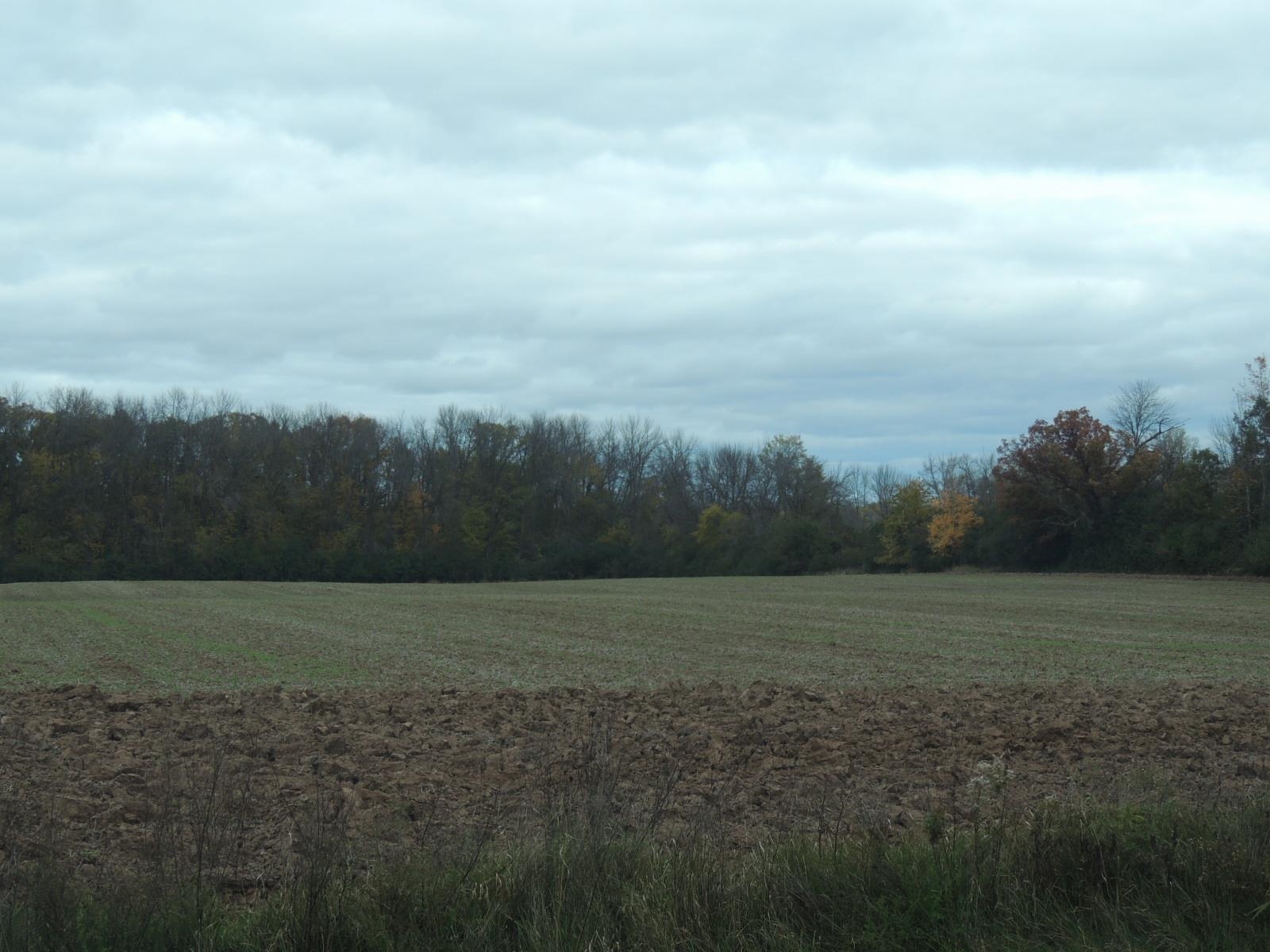 Neenah, Wisconsin, 54956, United States, ,Land,For Sale,1983139