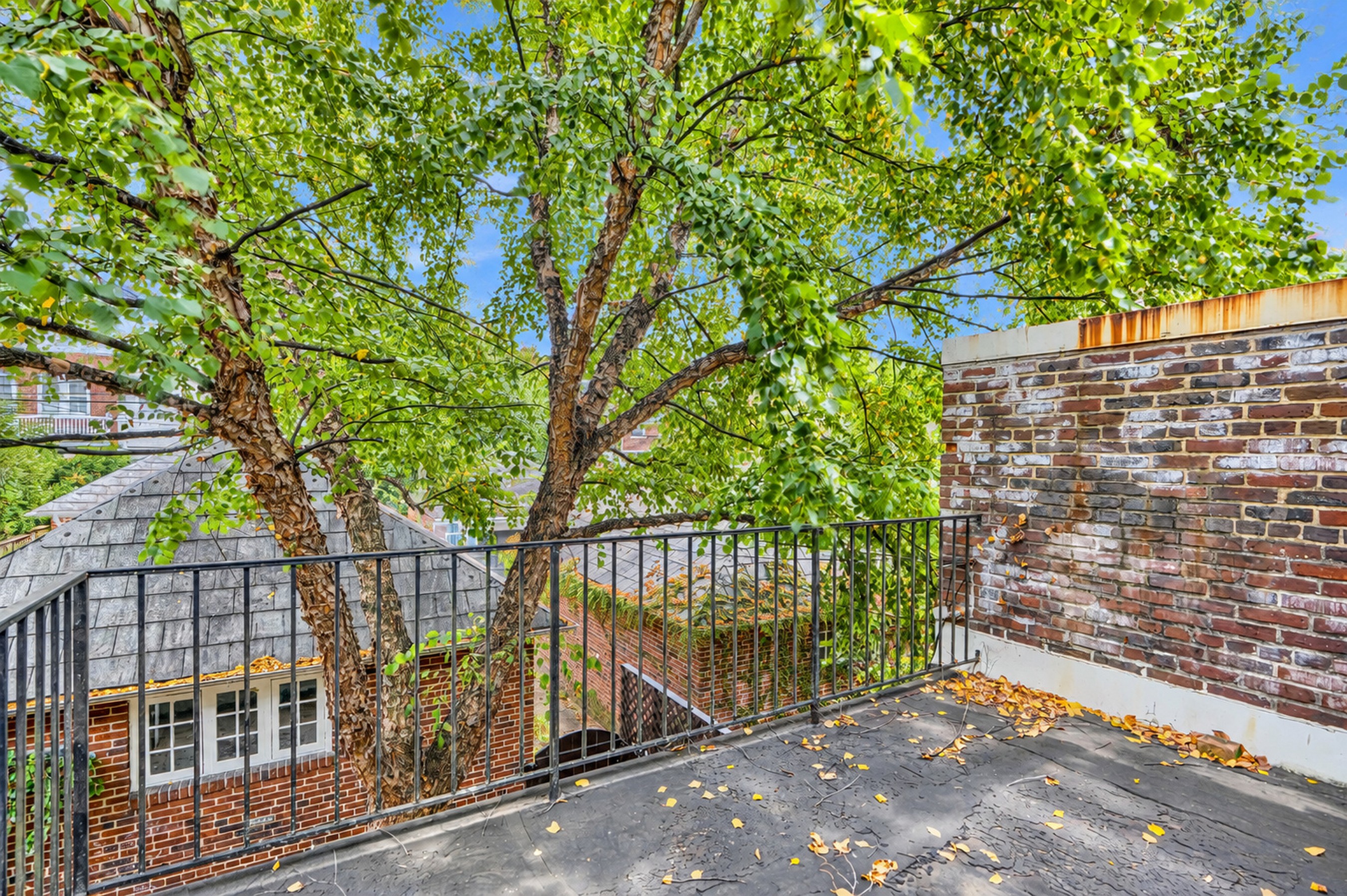  Oakenshawe Historic District - 物件實景