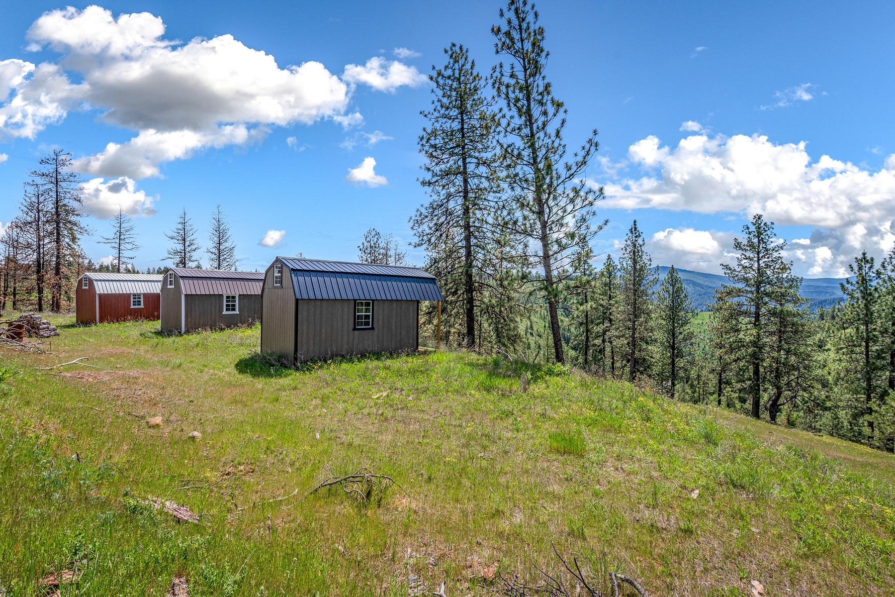  Cabins on 17ac. Surrounded by Lumber Land - 物件實景