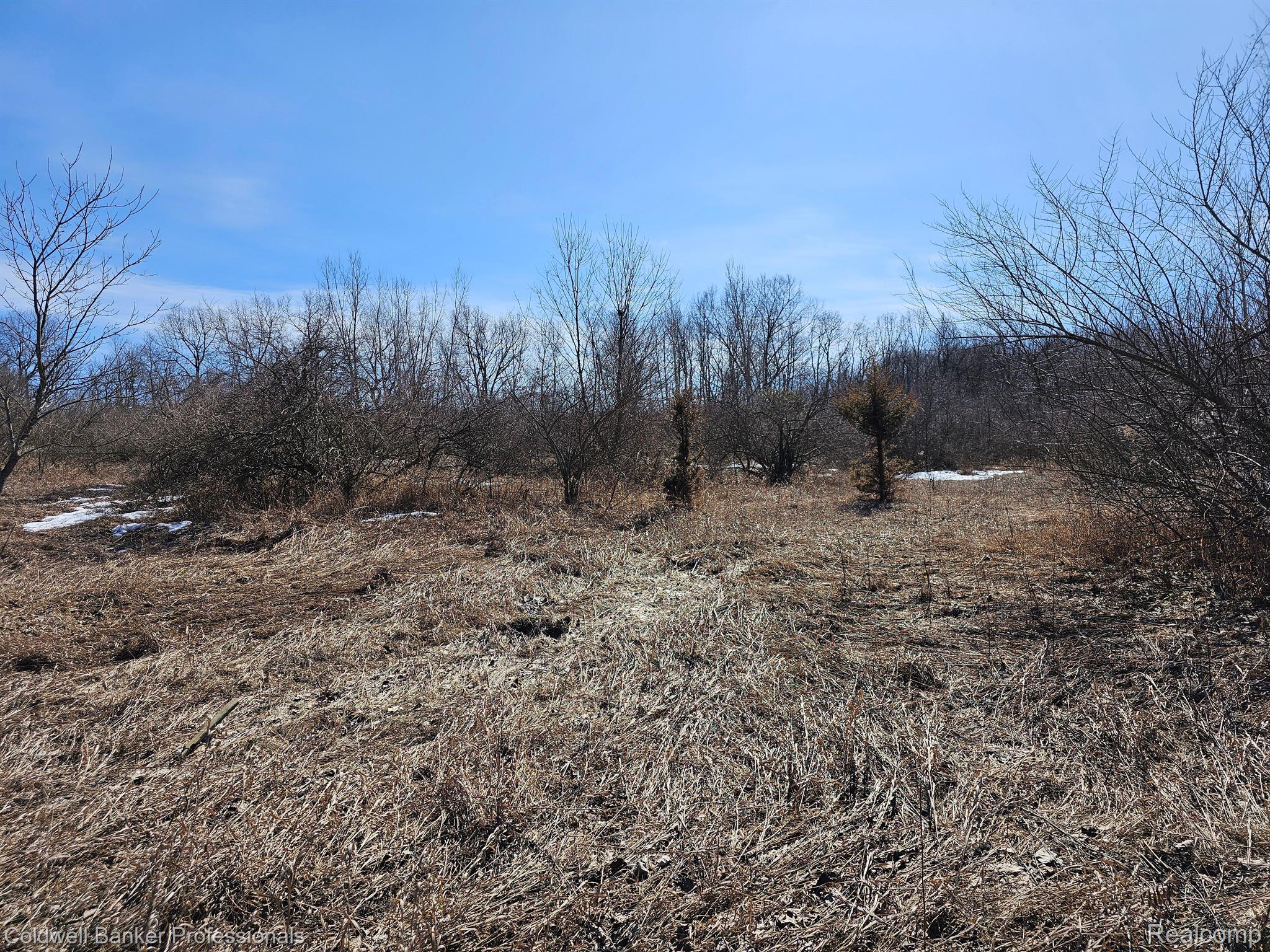 Metamora, Michigan, 48455, United States, ,Land,For Sale,1736755