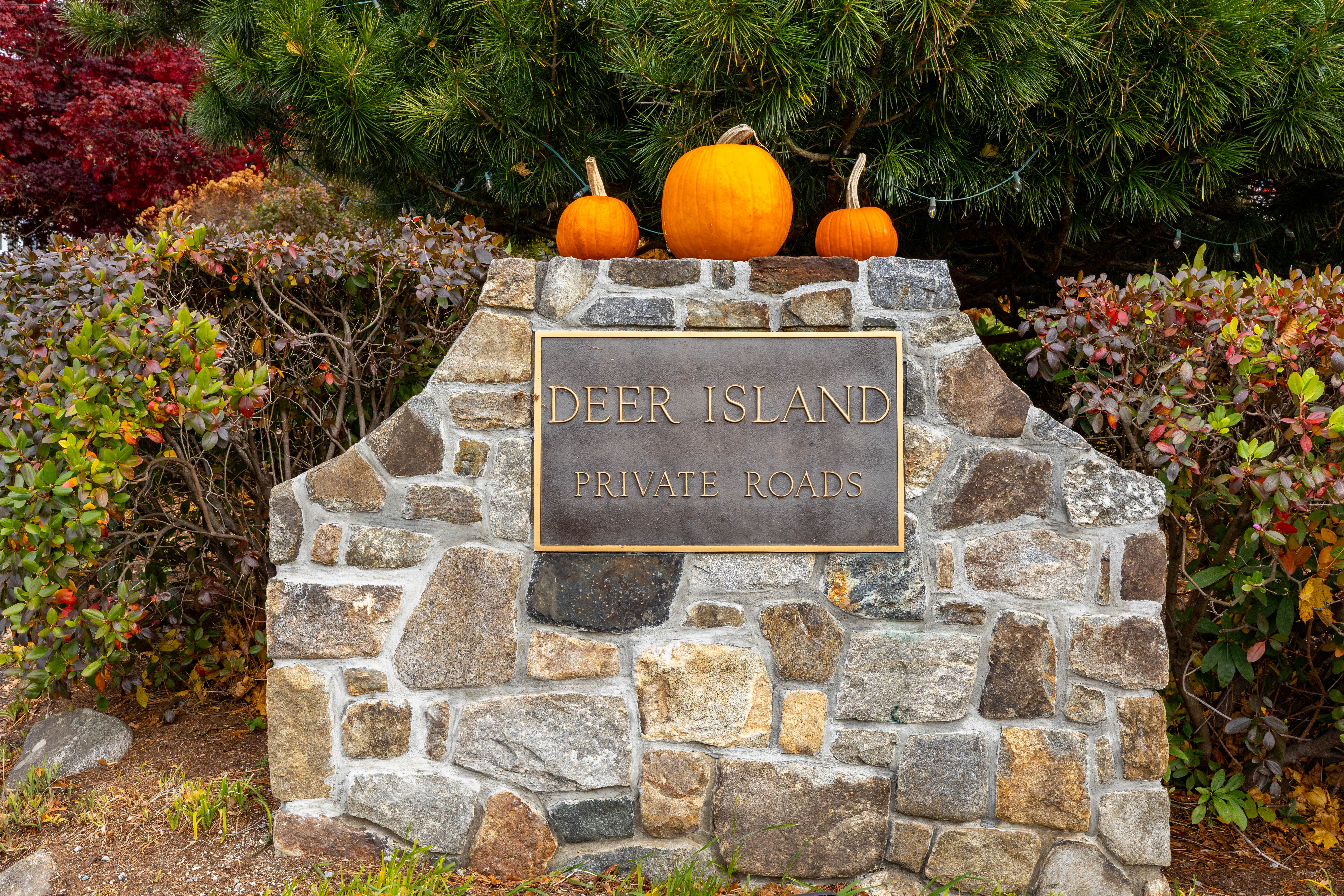  7 Hill Top Road - 物件實景