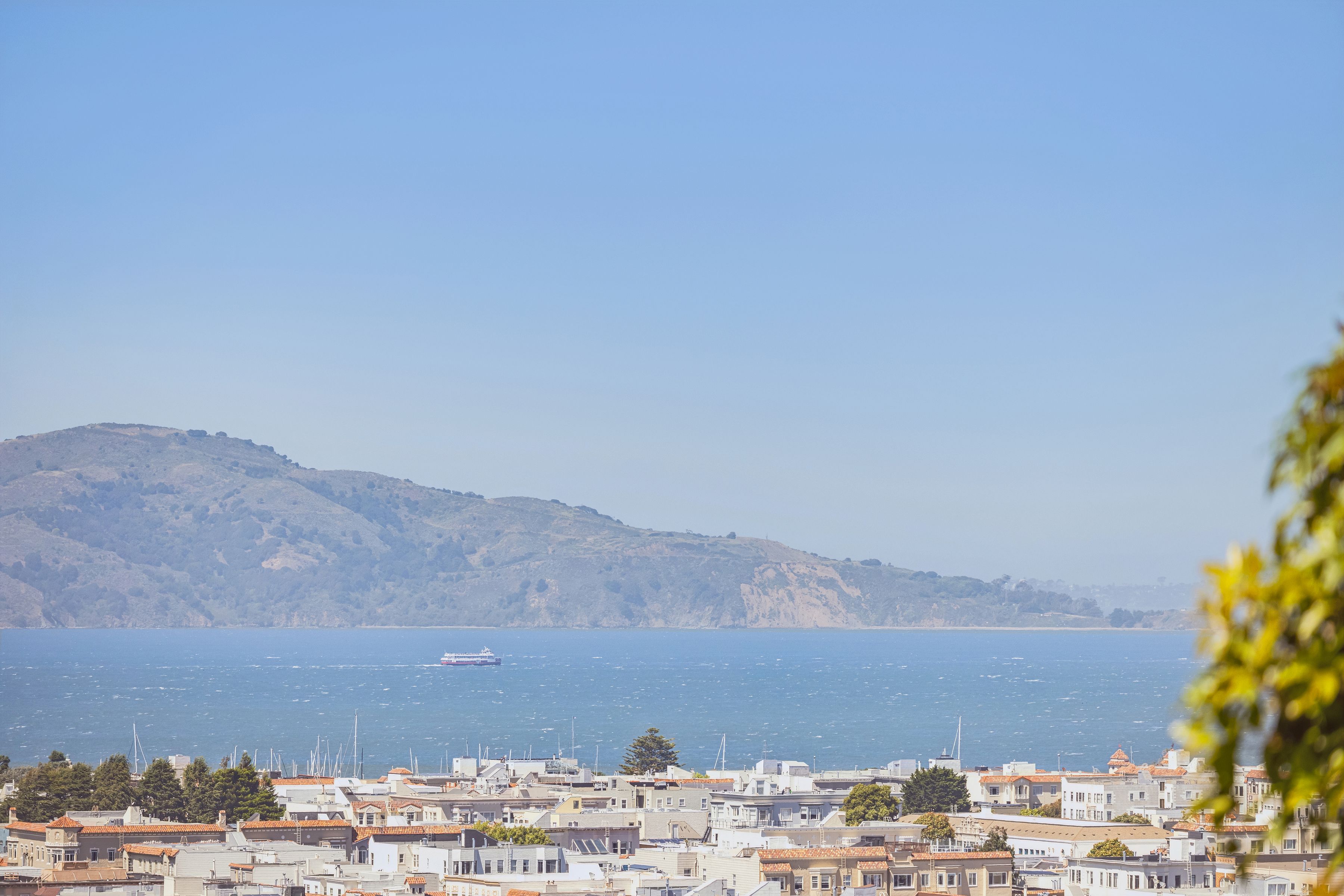  Cow Hollow Edwardian with Presidio Views - 物件實景