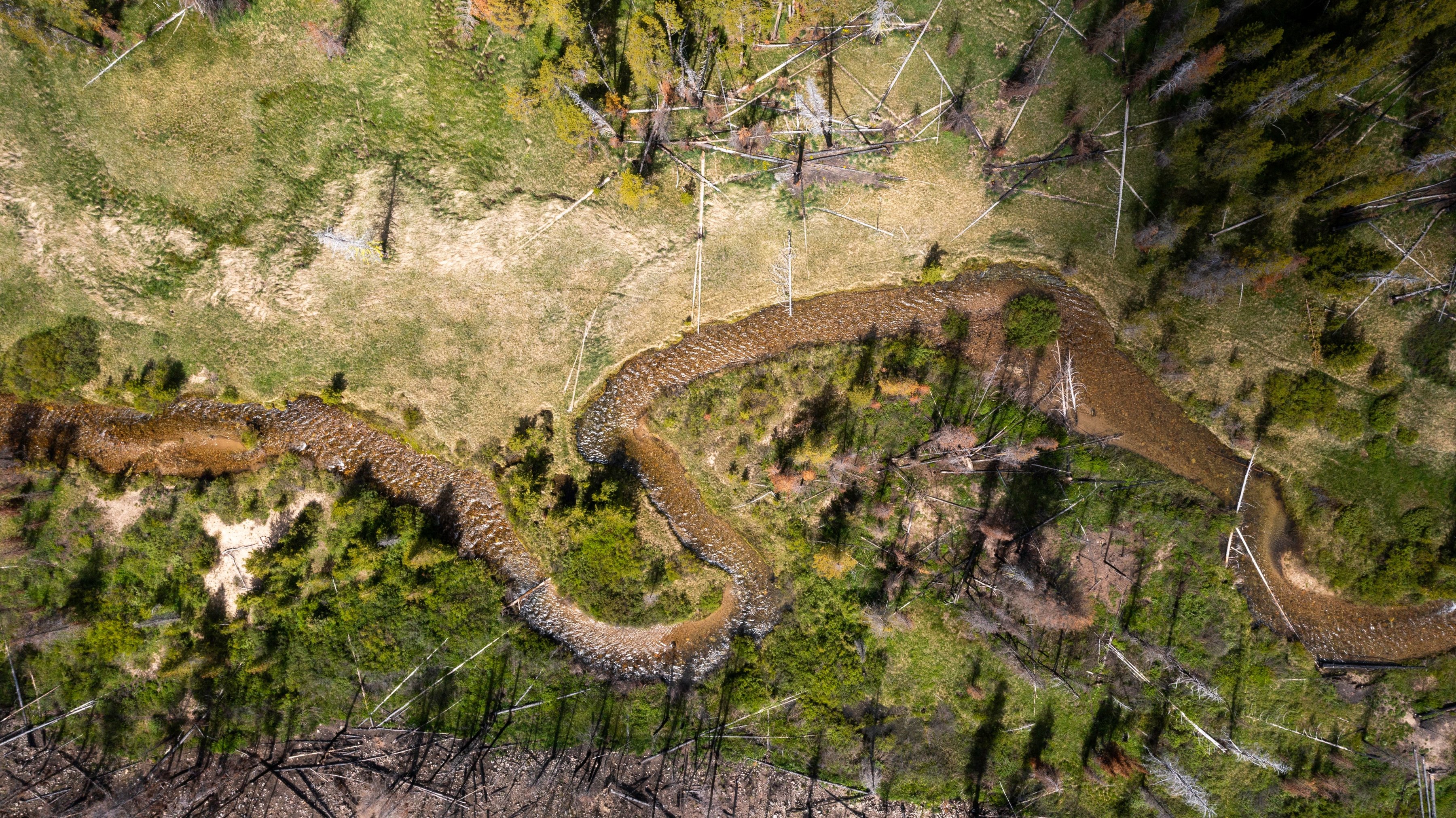  Rare Sawtooth Basin Homesite Near Stanley - 物件實景