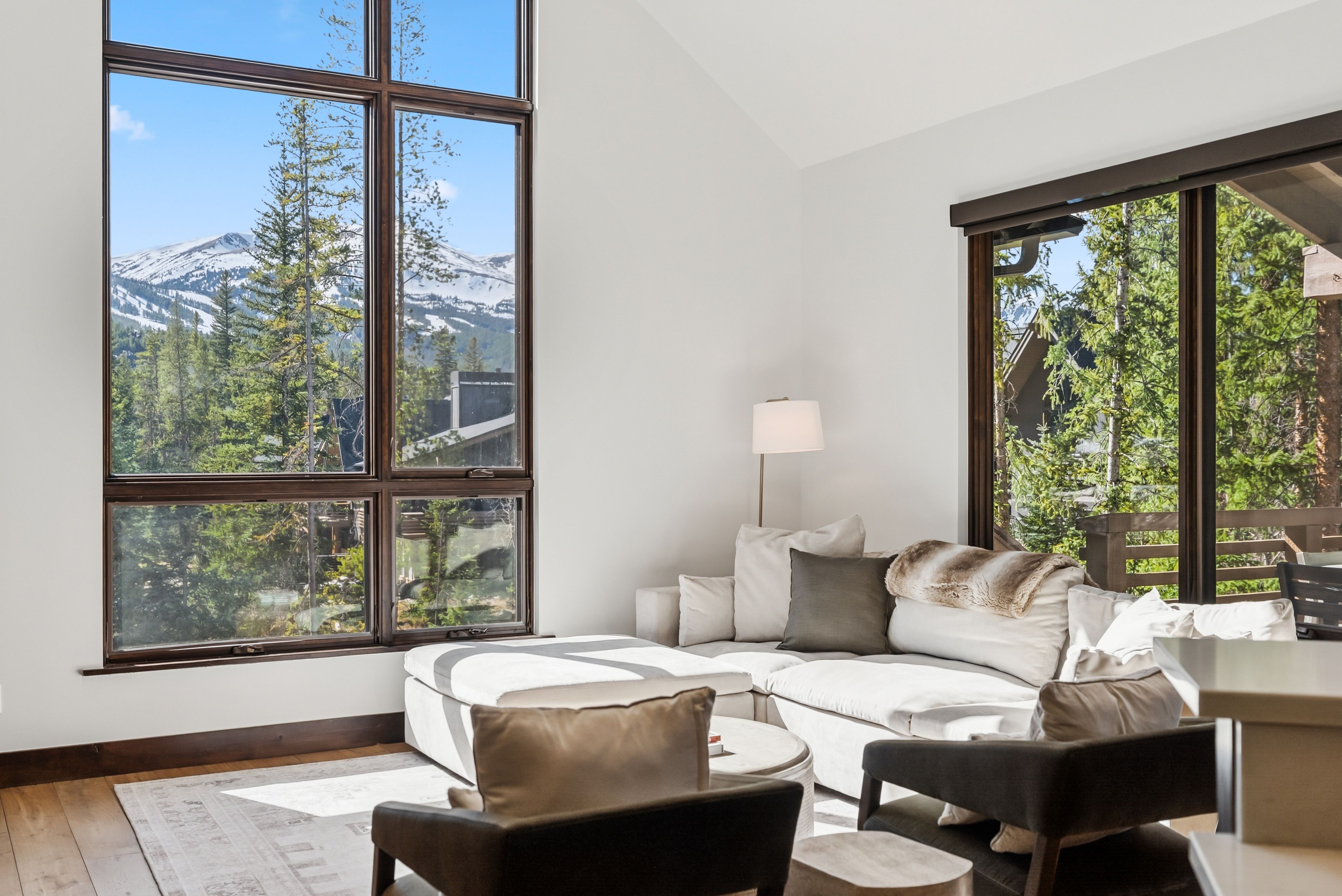  341 River Park Drive, Breckenridge, CO, 80424 - 物件實景