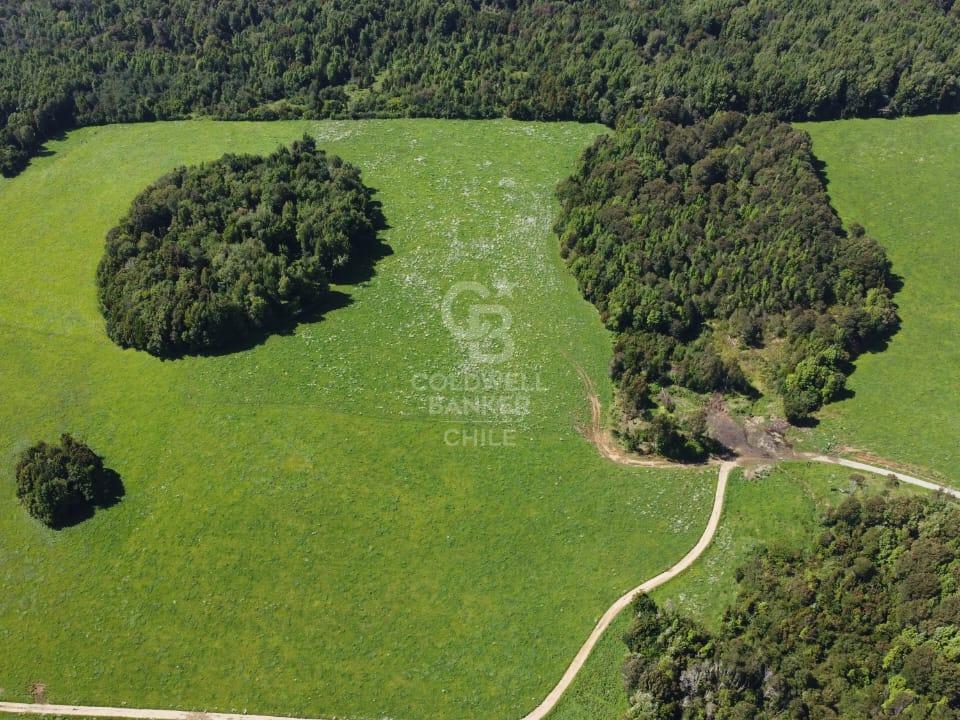 Los Muermos, Chile, ,Residential,For Sale,1956366