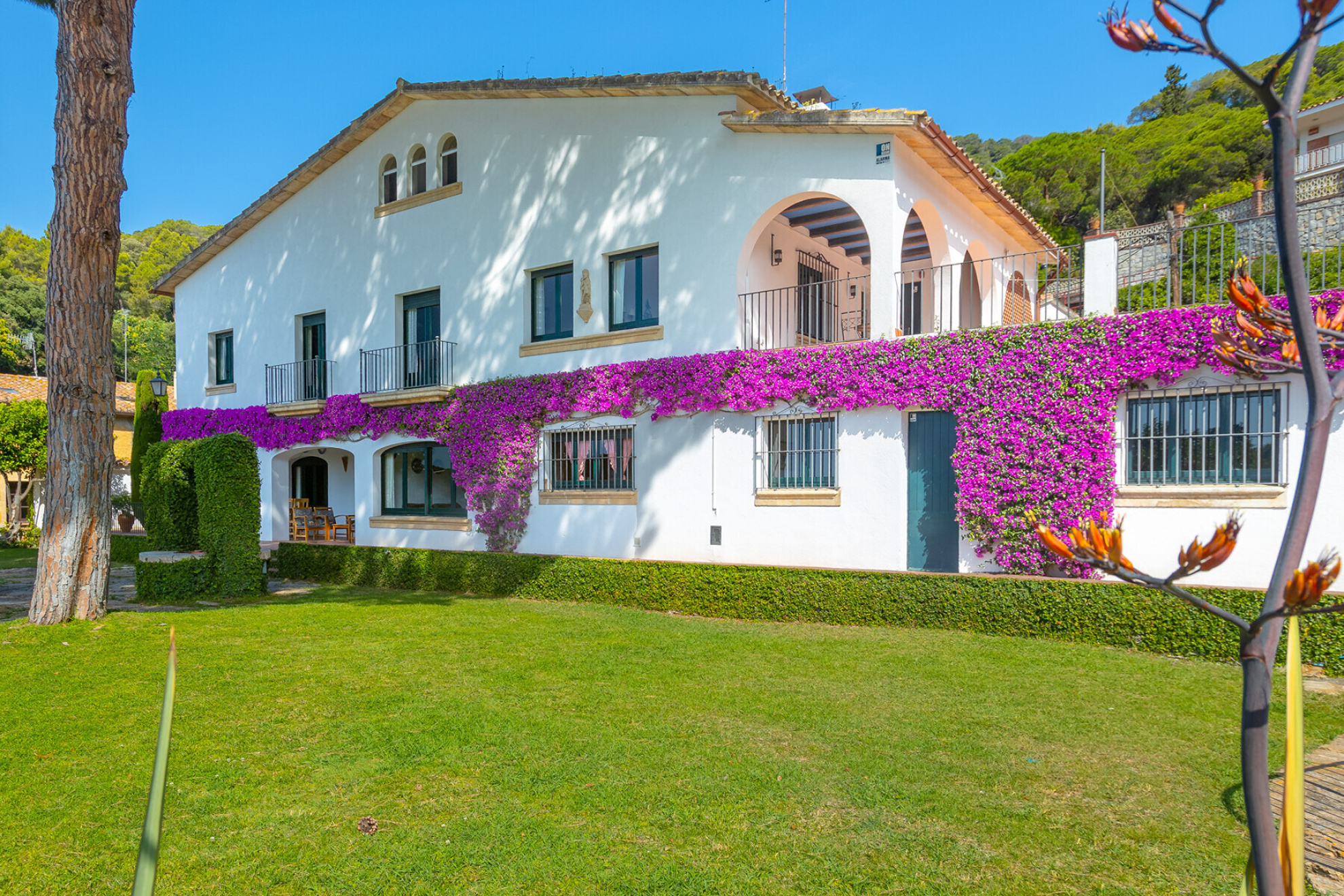  House with ocean views and a tourism license in Premià de Dalt - 物件實景