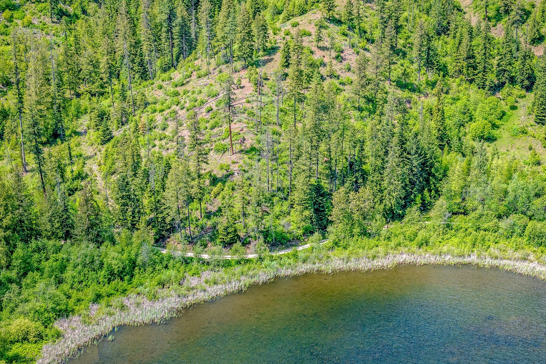  Lake Retreat on Private Acreage - 物件實景