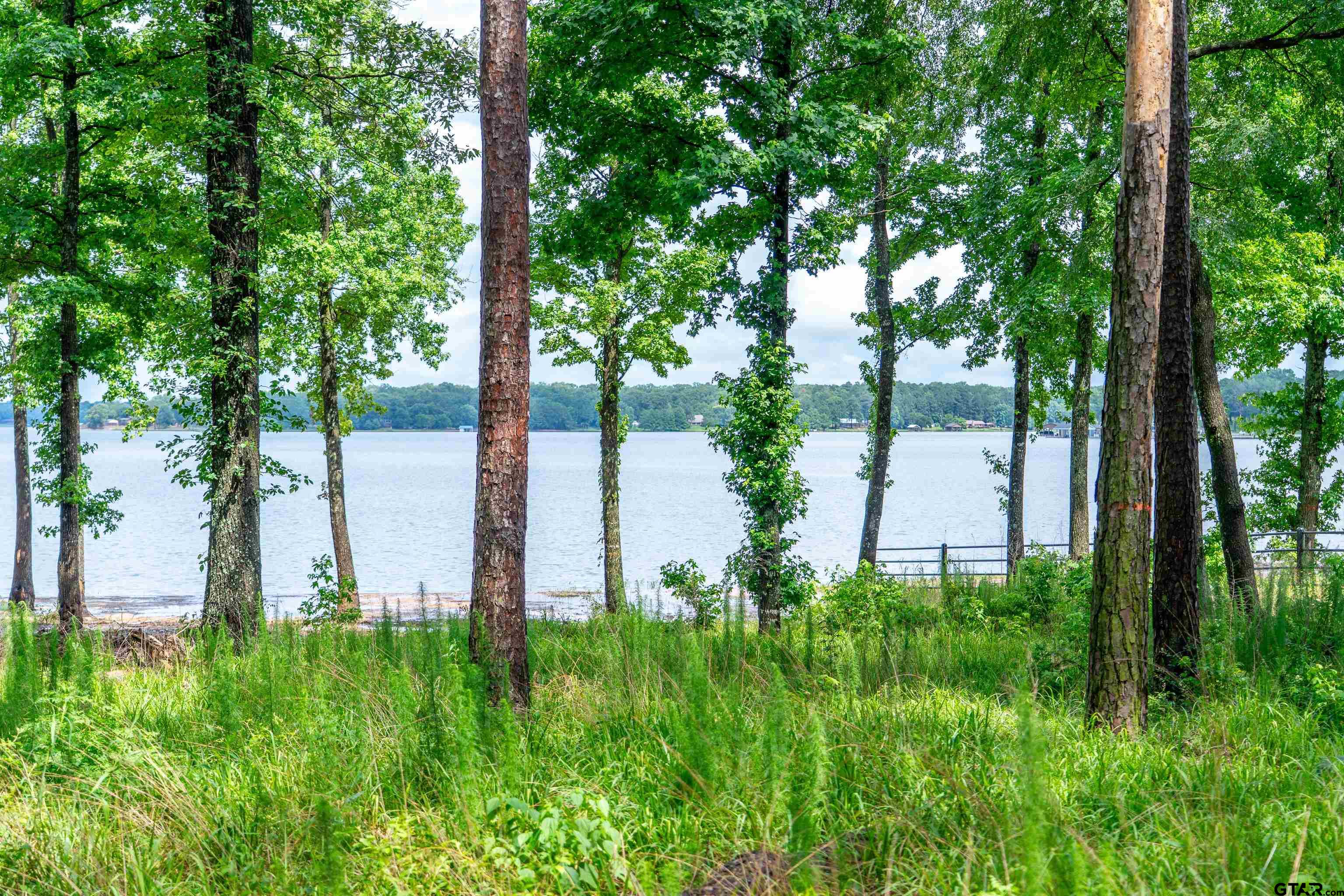 Scroggins, Texas, 75480, United States, ,Land,For Sale,1975863