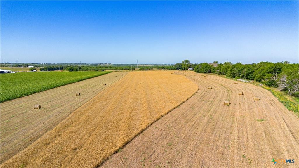 Mcqueeney, Texas, 78123, United States, ,Land,For Sale,1980081