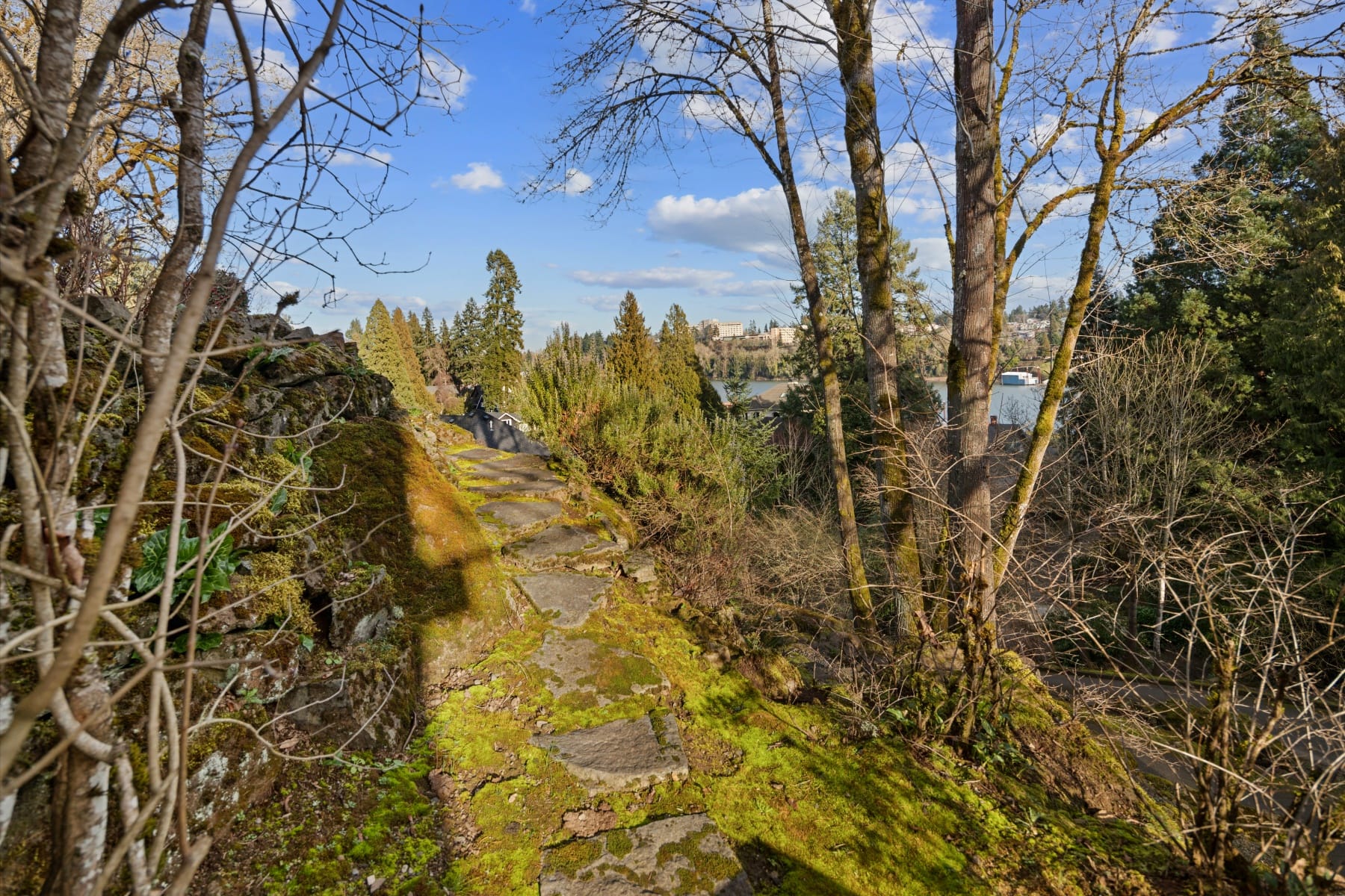  13537 FIELDING RD Lake Oswego, OR 97034 - 物件實景