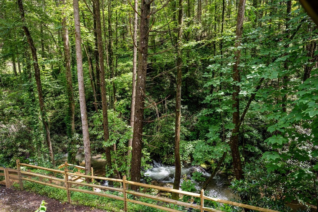 Ellijay, Georgia, 30540, United States, 5 Bedrooms Bedrooms, ,5 BathroomsBathrooms,Residential,For Sale,1868155